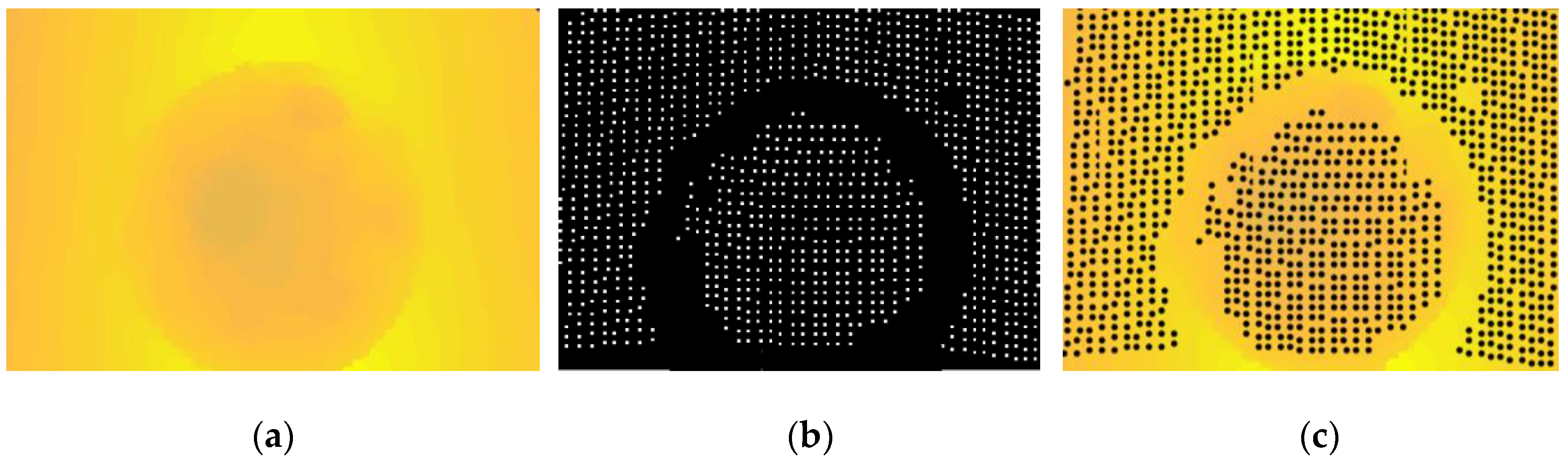 Photonics 09 00333 g003 550