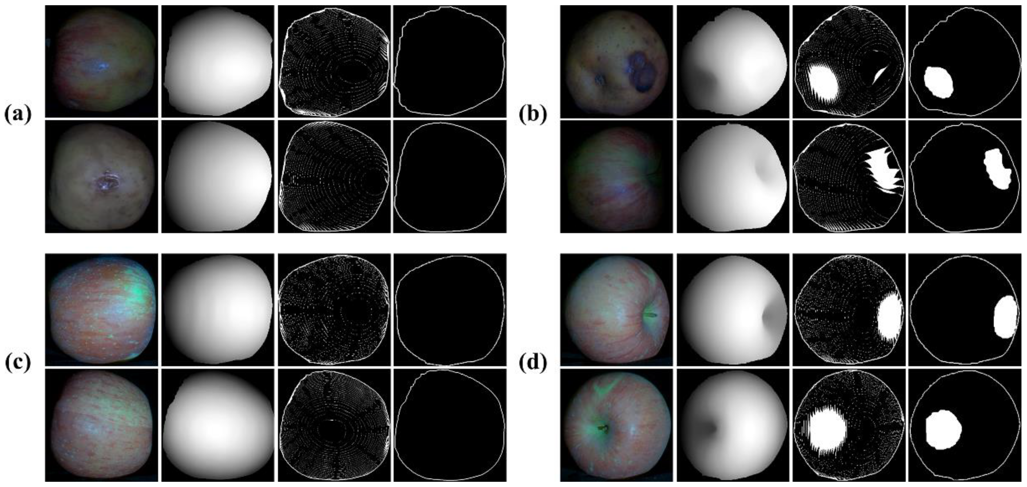 Photonics 09 00346 g006
