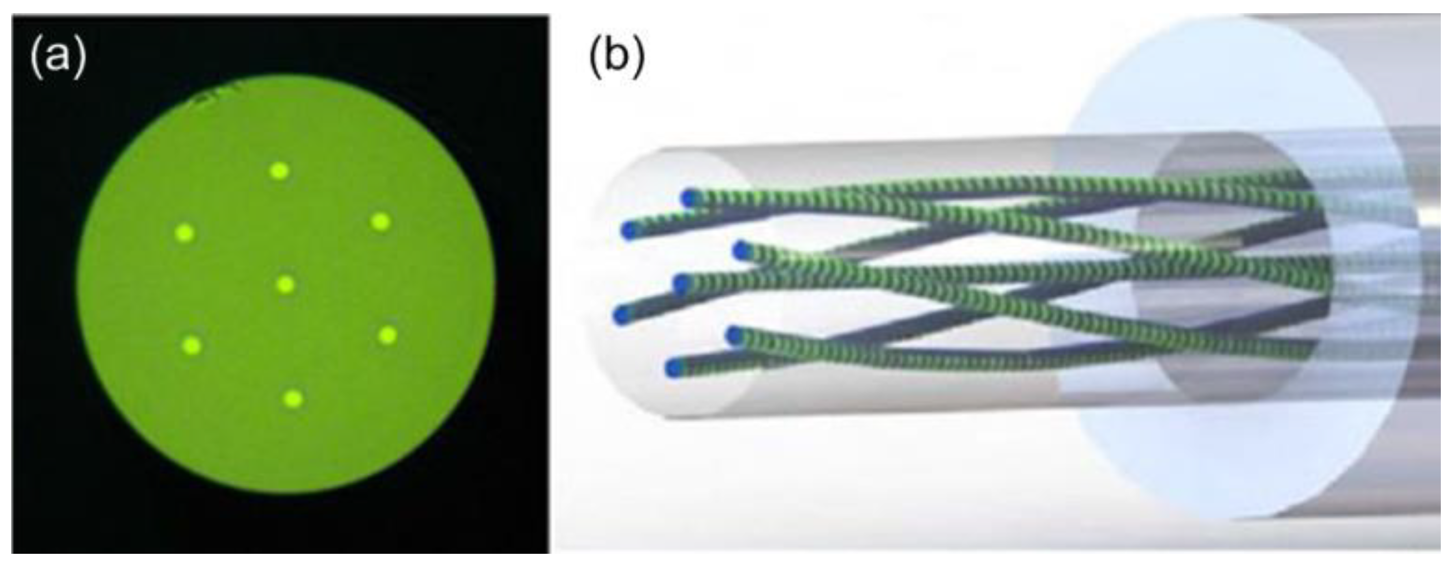 Photonics 09 00381 g020