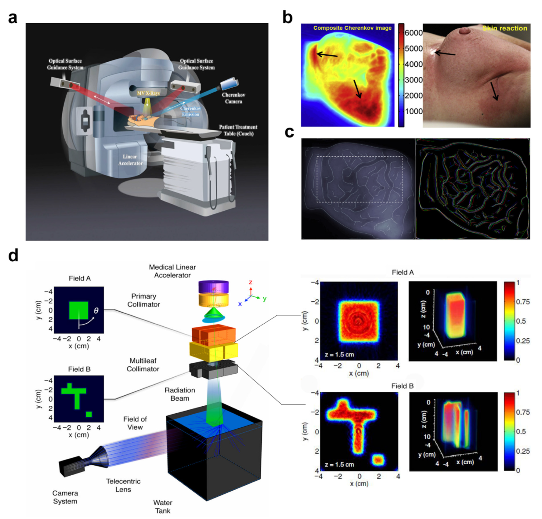 Photonics 09 00390 g004