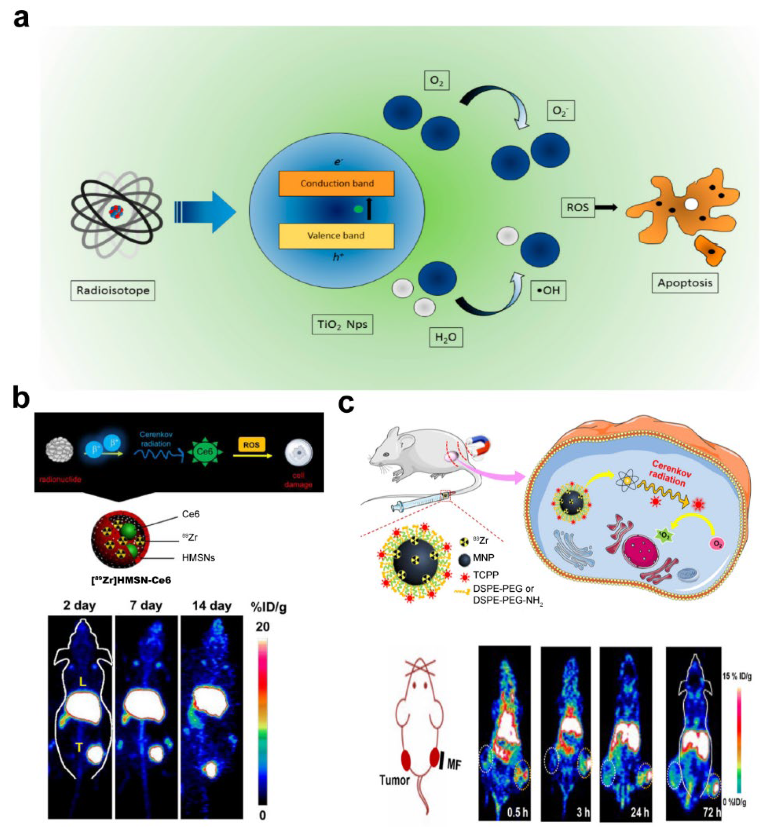Photonics 09 00390 g005