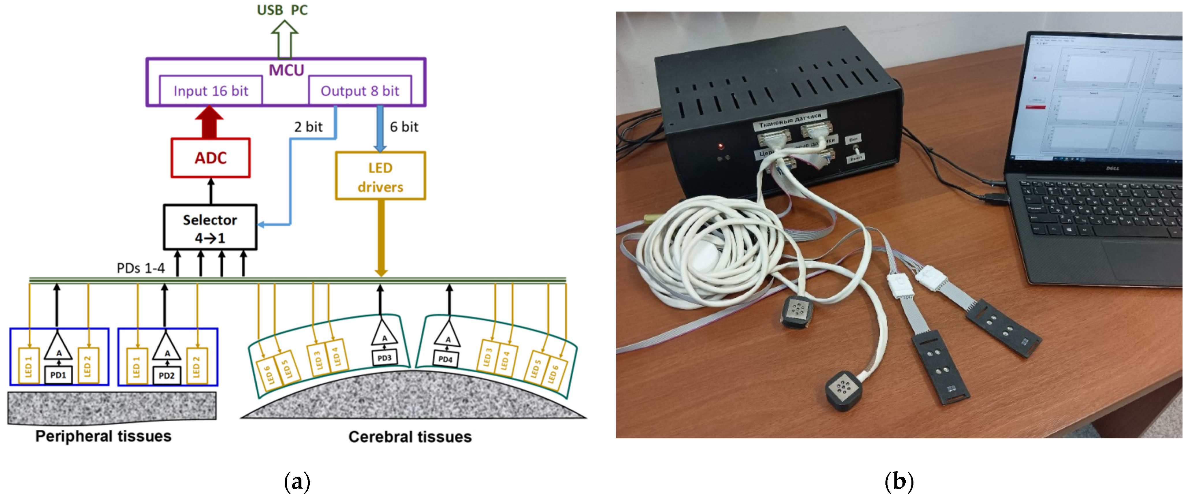 Photonics 09 00392 g003
