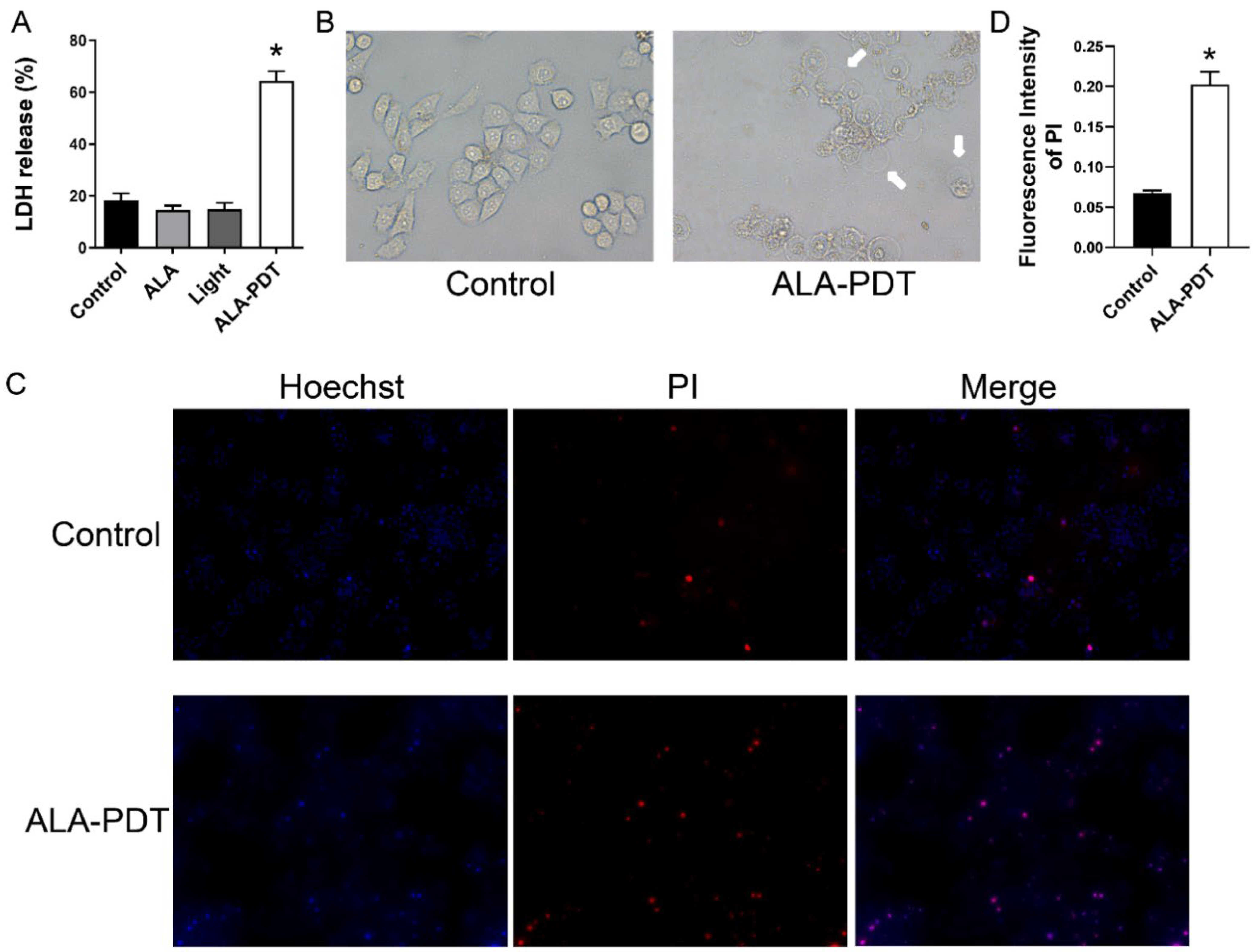 Photonics 09 00408 g004 550