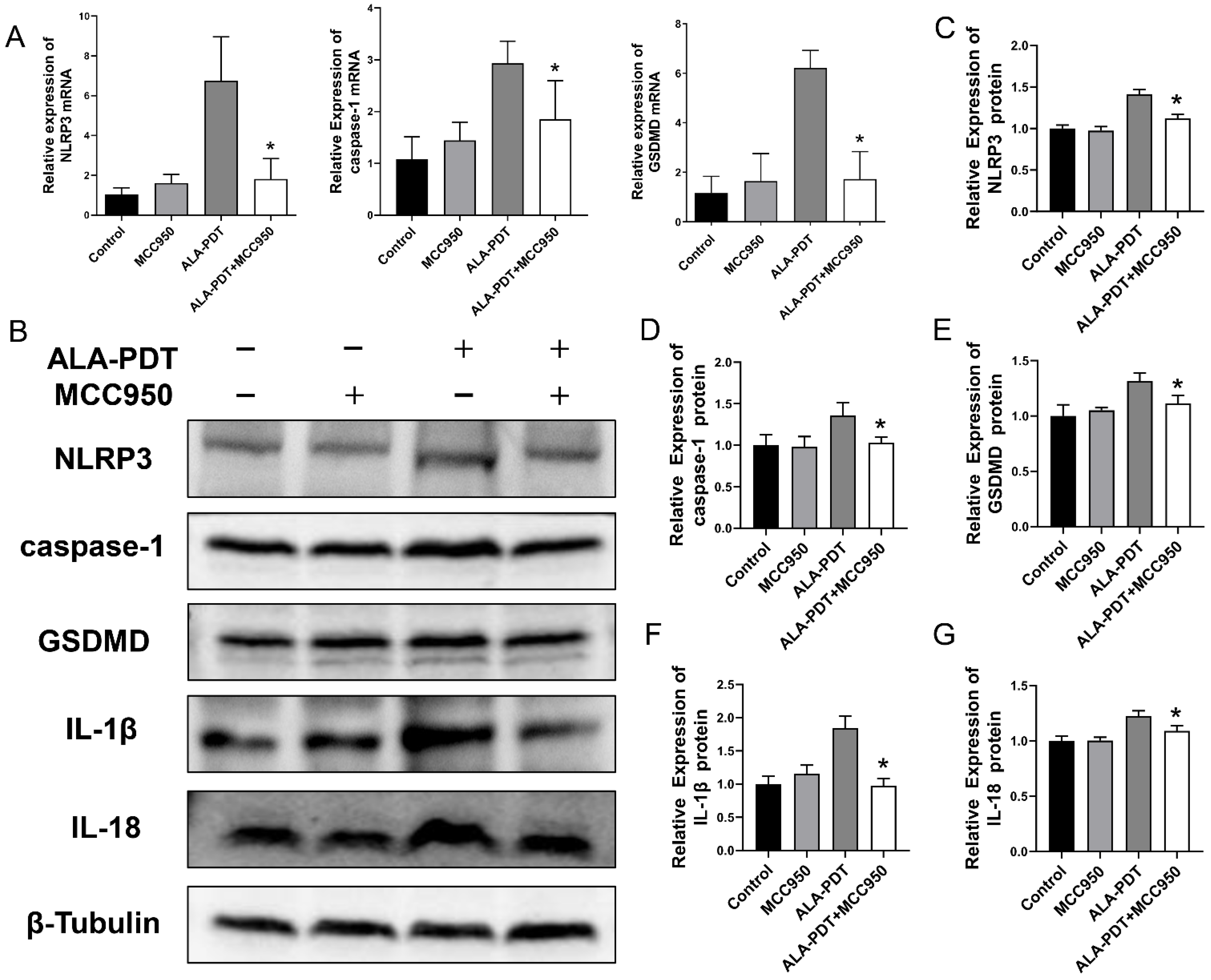 Photonics 09 00408 g006 550