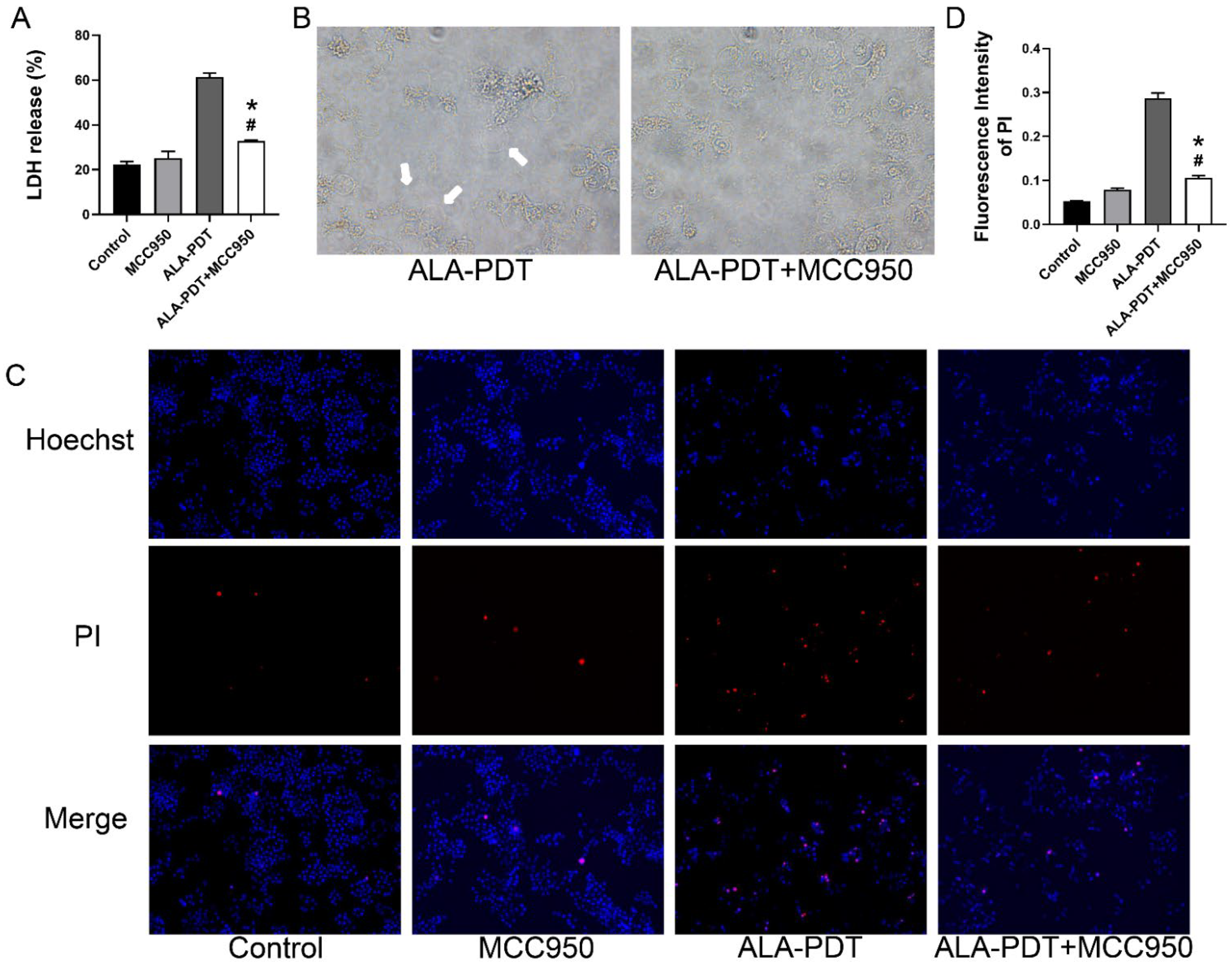 Photonics 09 00408 g007 550