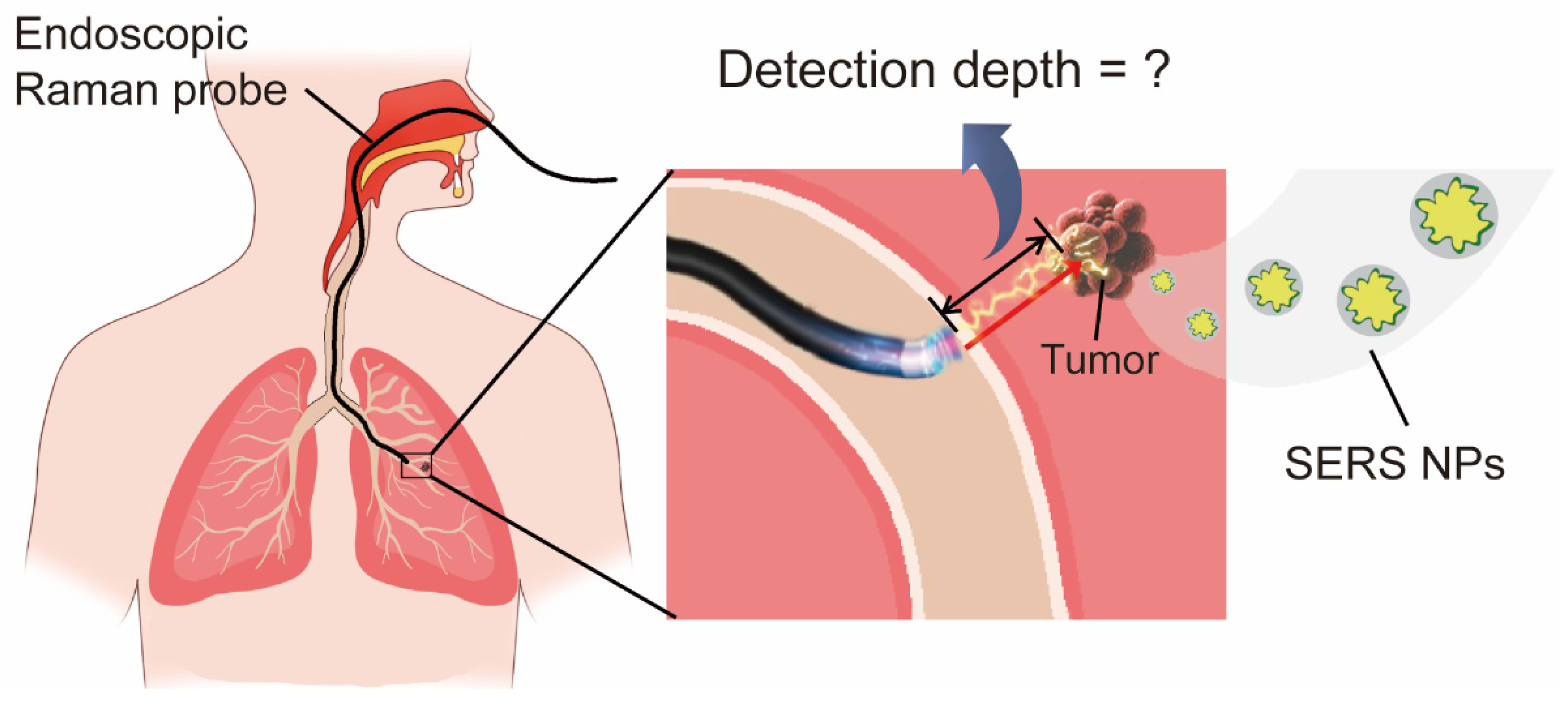 Photonics 09 00429 g001