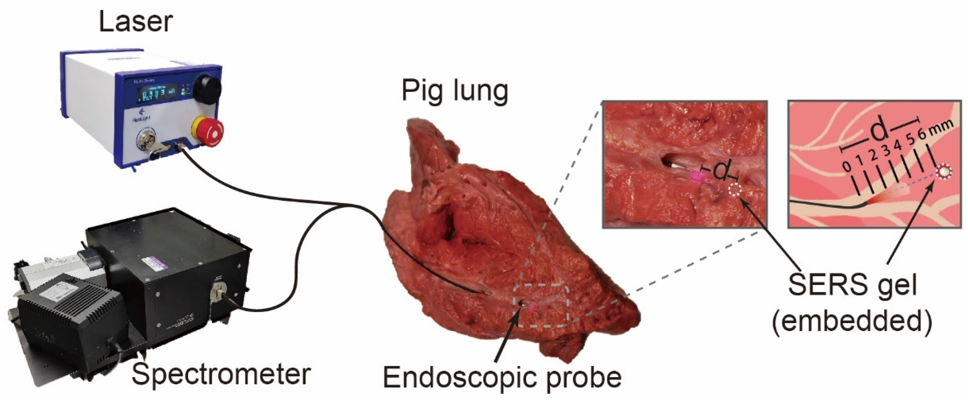 Photonics 09 00429 g003