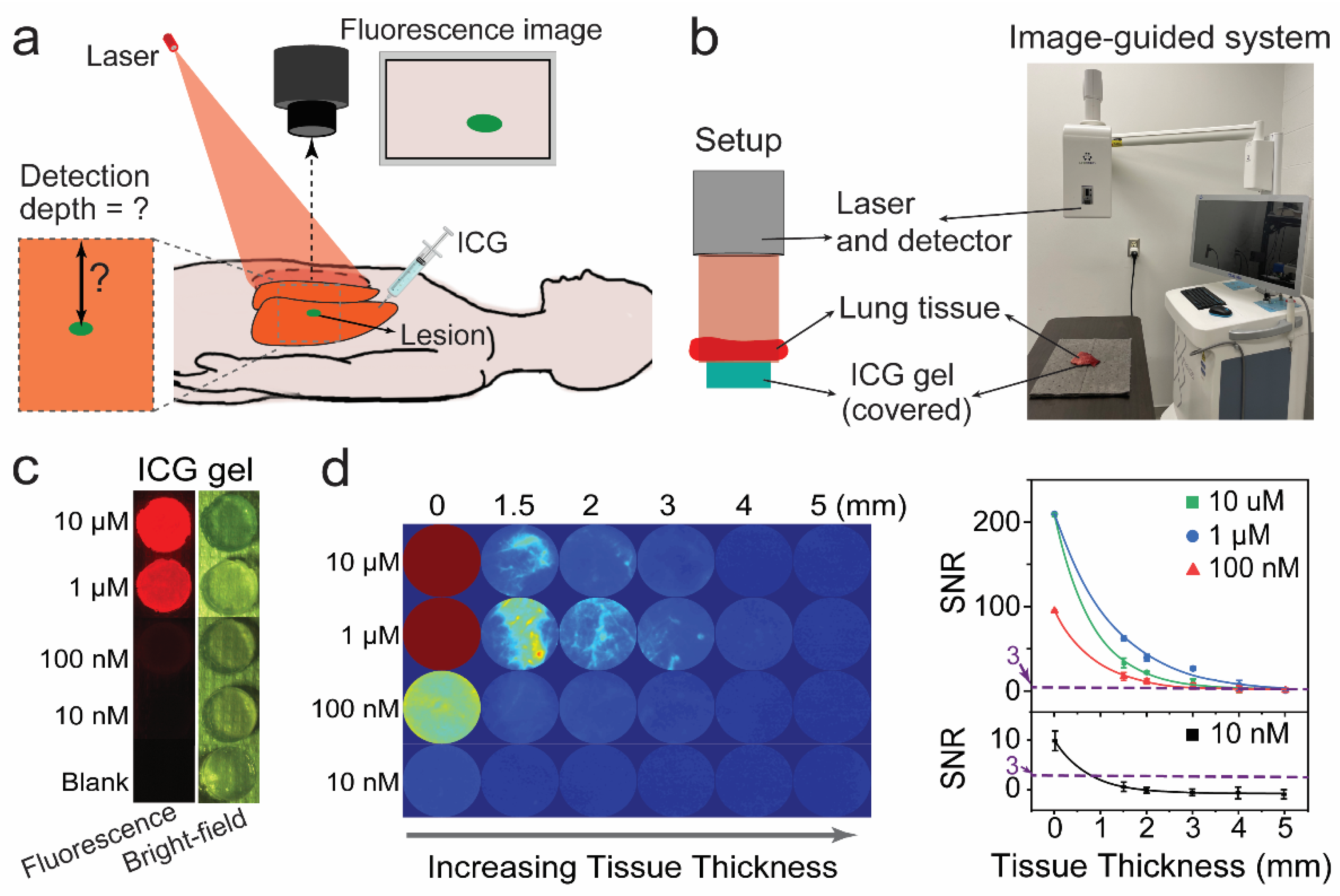 Photonics 09 00429 g006