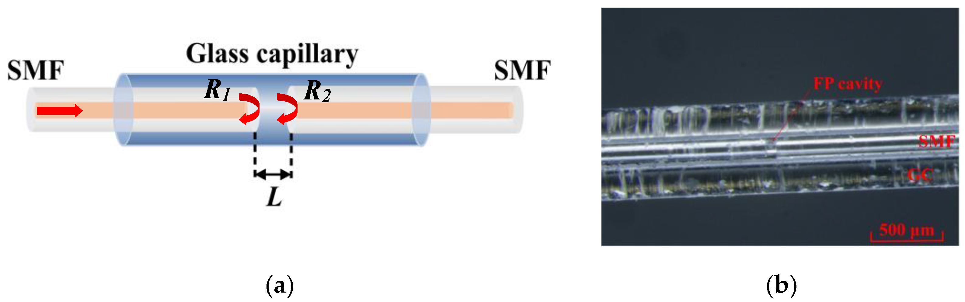 Photonics 09 00451 g001 550
