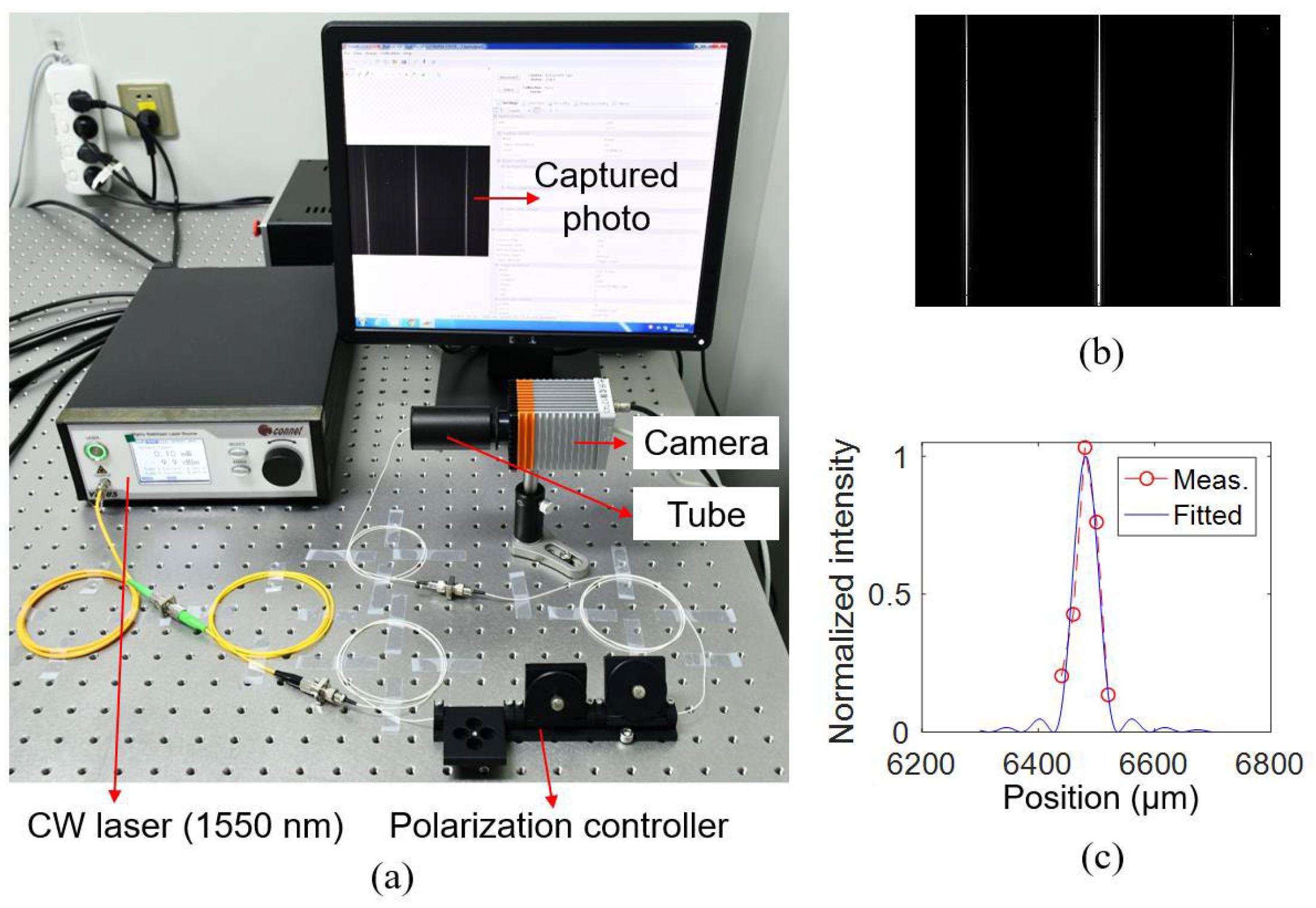 Photonics 09 00456 g017
