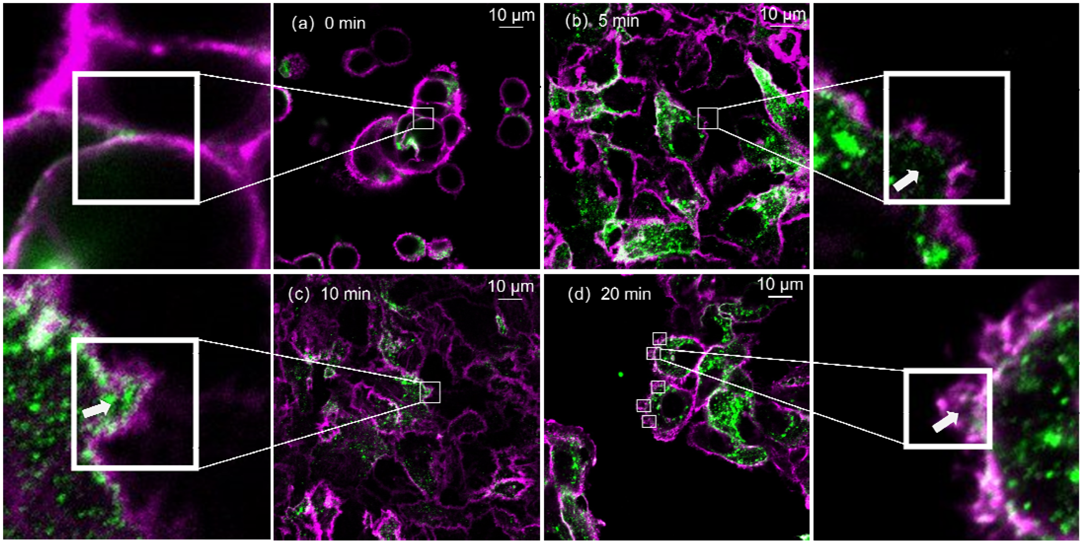 Photonics 09 00461 g002