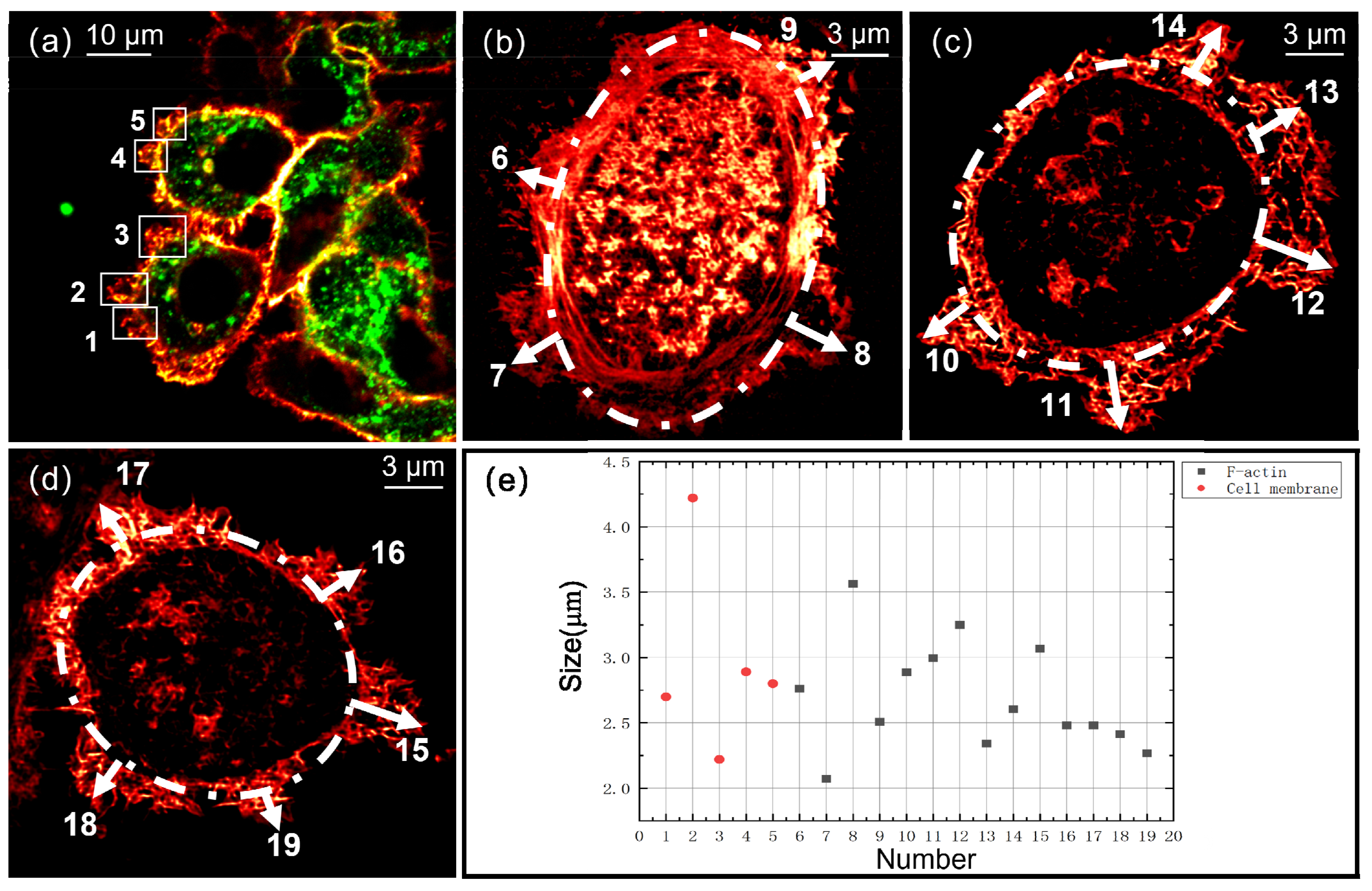 Photonics 09 00461 g005