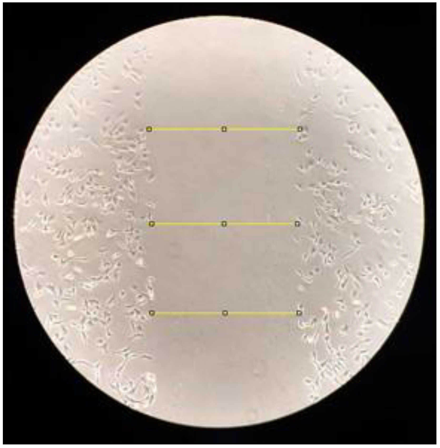 Photonics 09 00469 g001 550