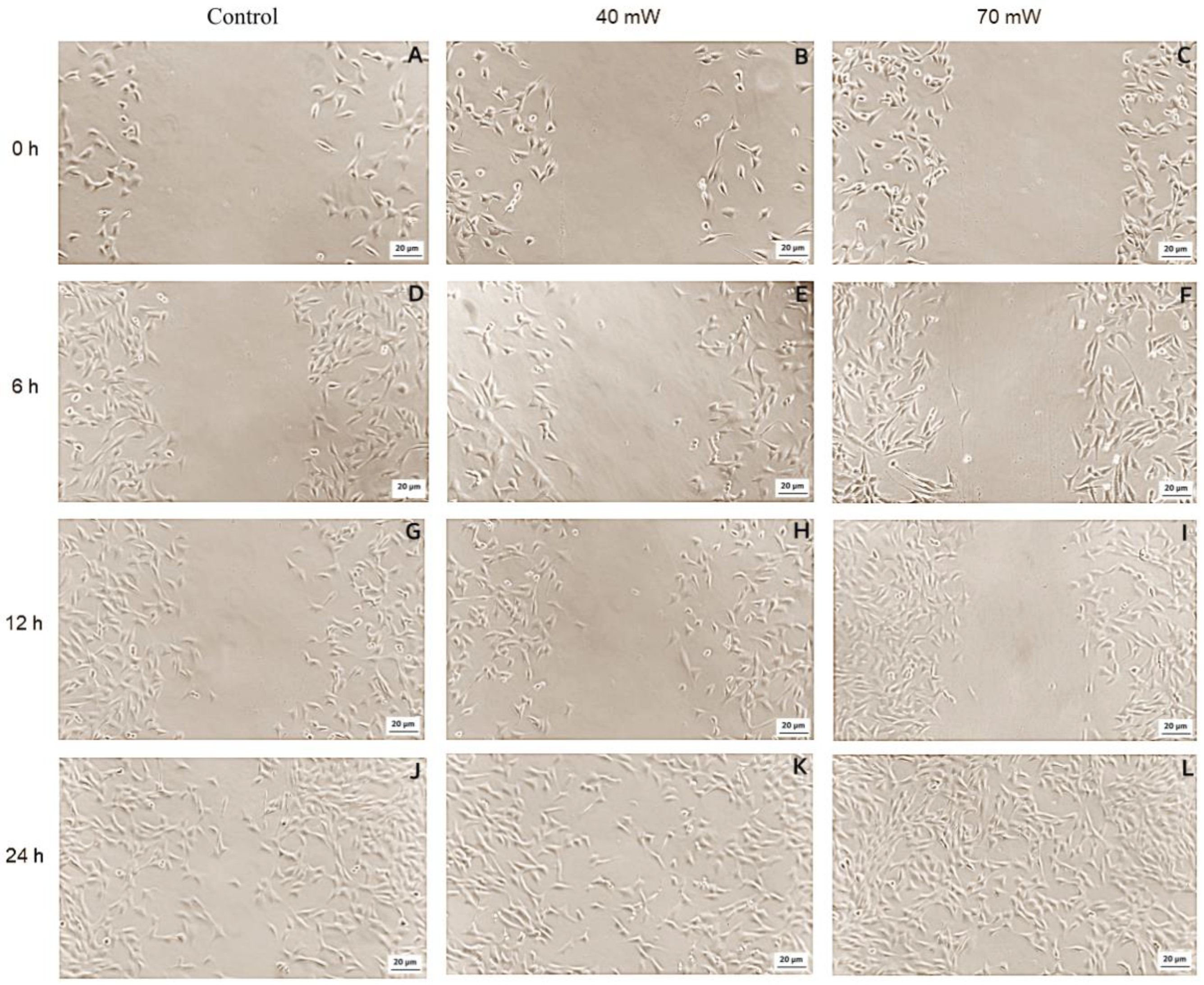 Photonics 09 00469 g006 550