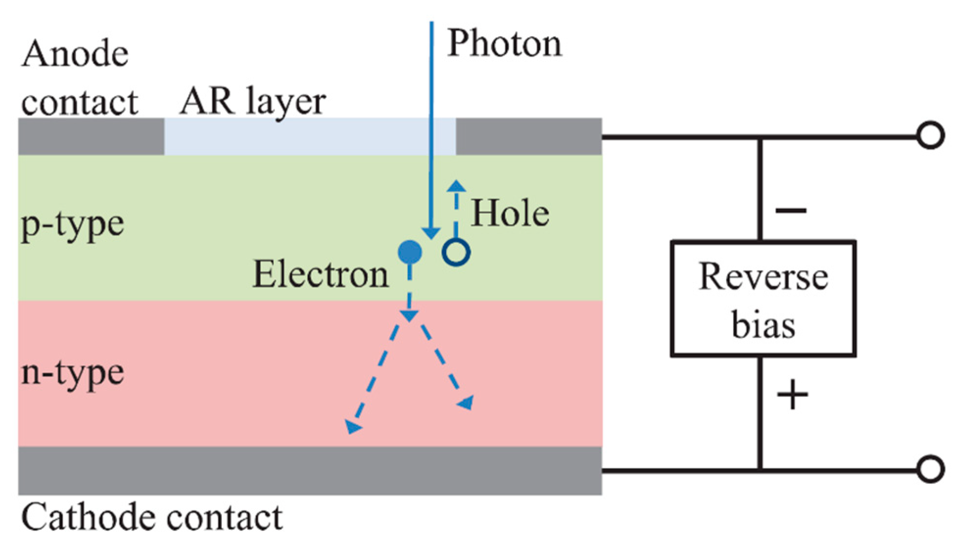 Photonics 09 00470 g005