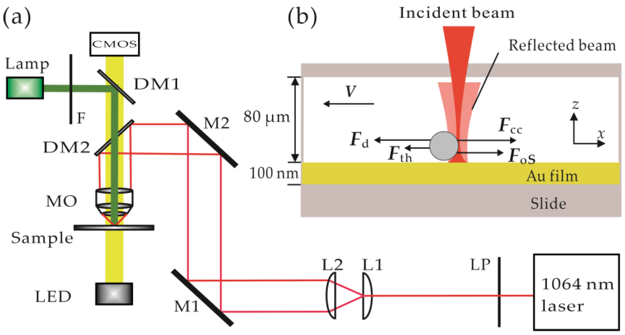 Photonics 09 00473 g001 550