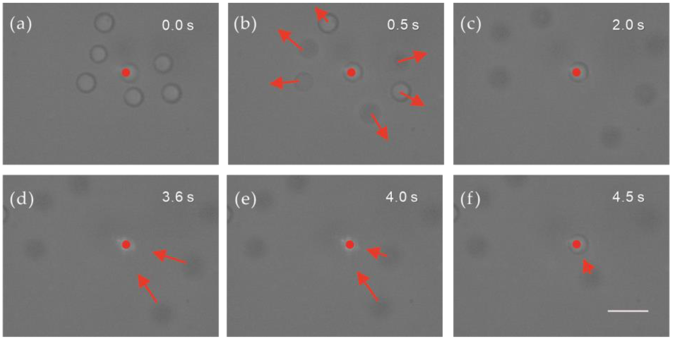 Photonics 09 00473 g005 550