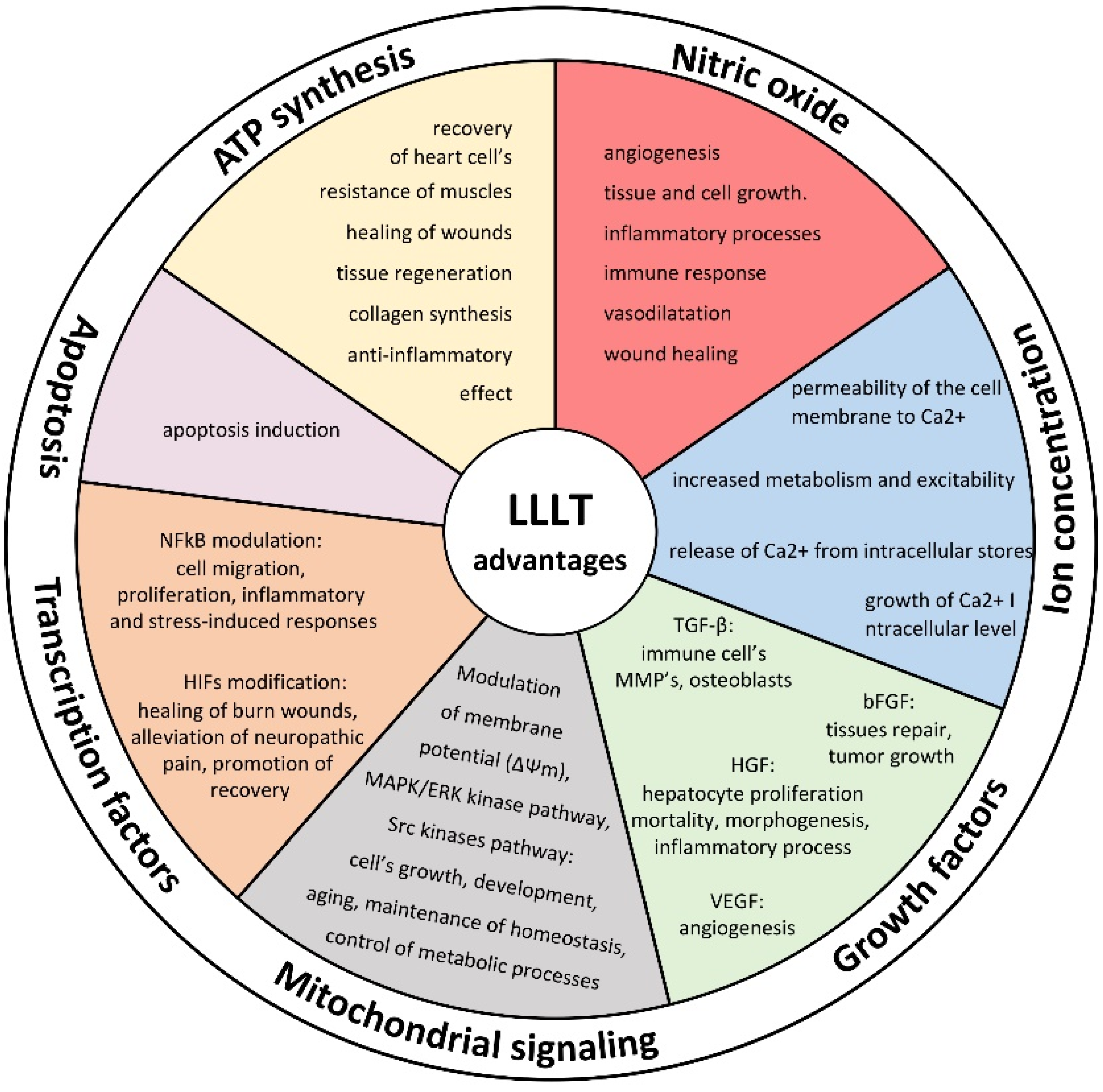 Photonics 09 00502 g001 550
