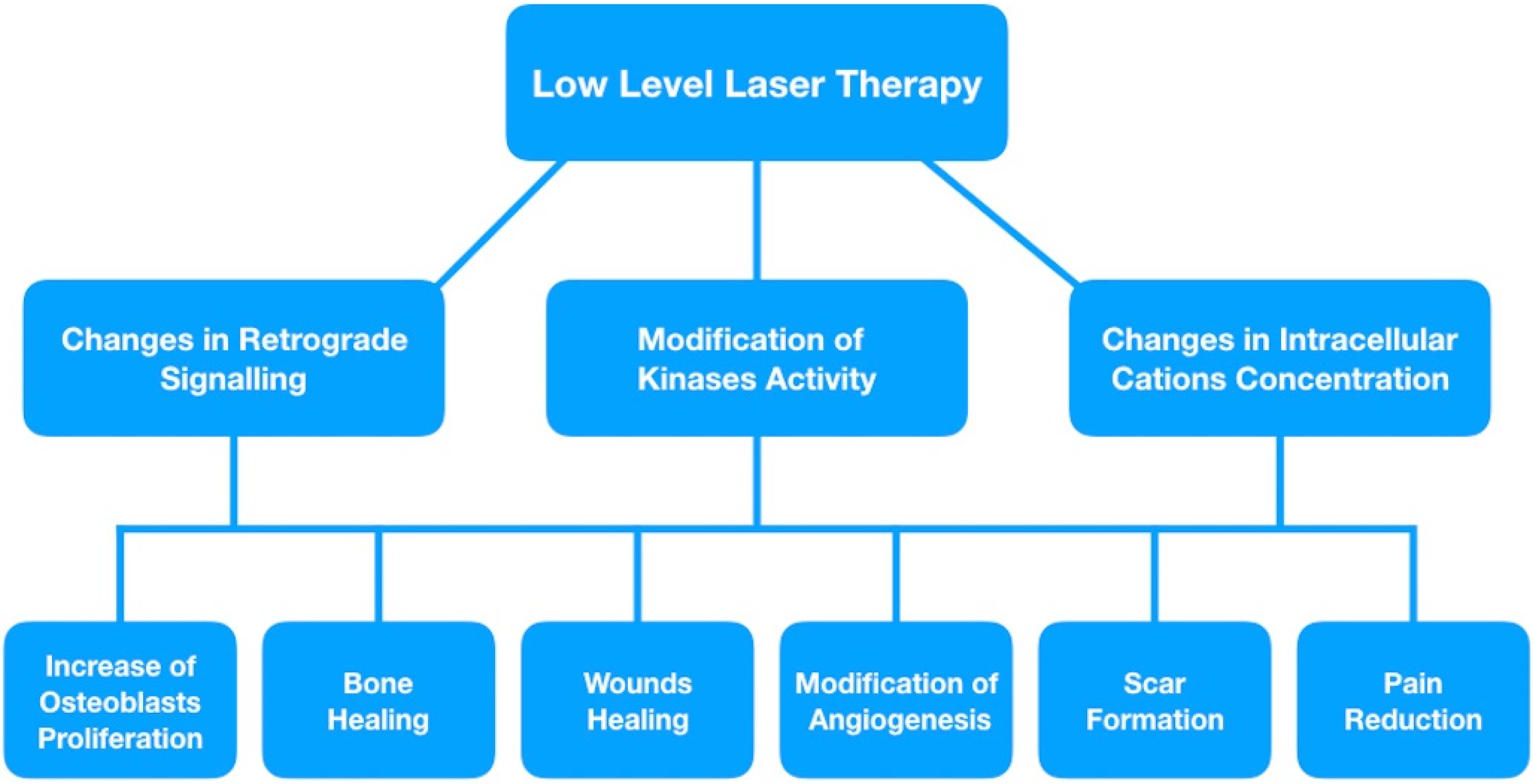 Photonics 09 00502 g003 550