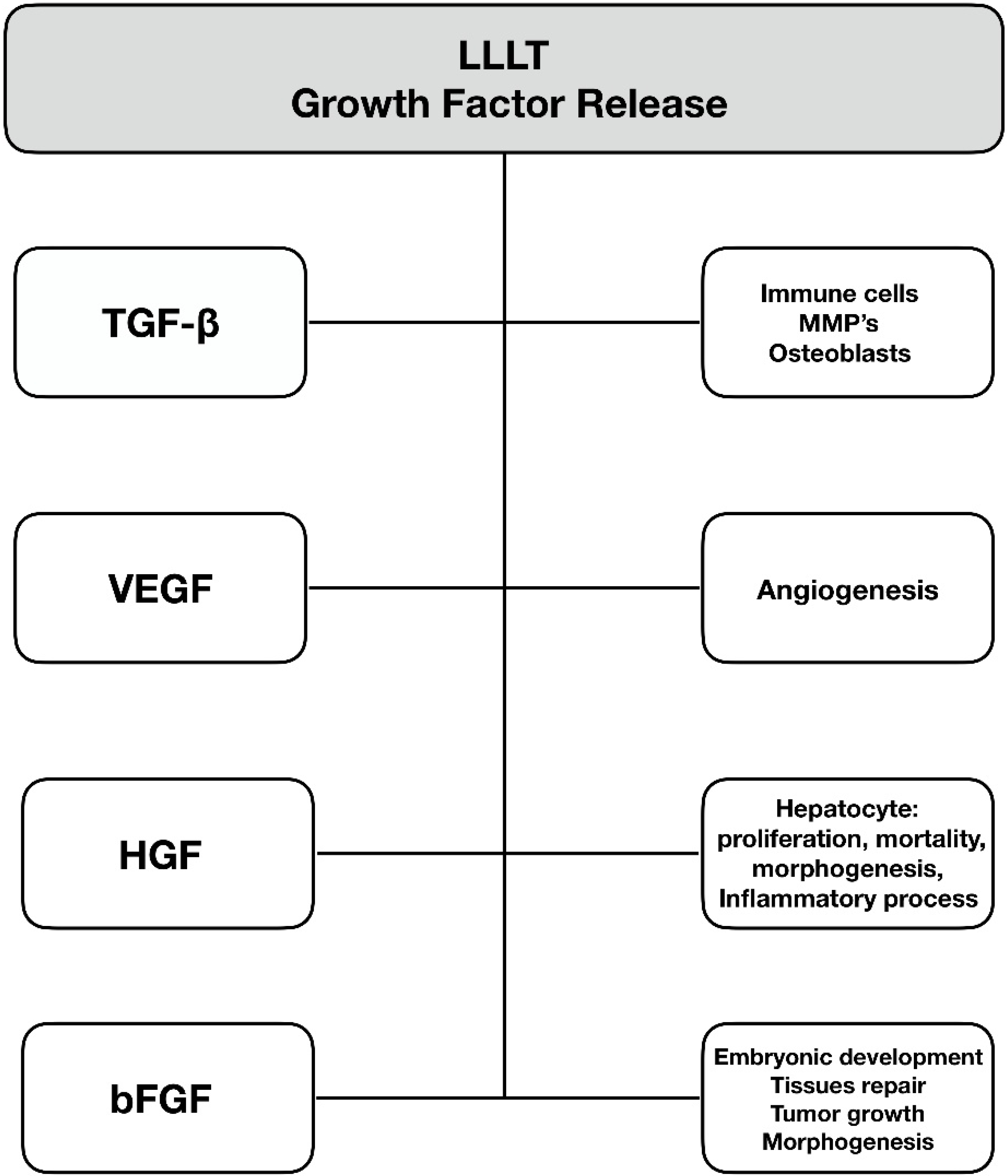 Photonics 09 00502 g005 550
