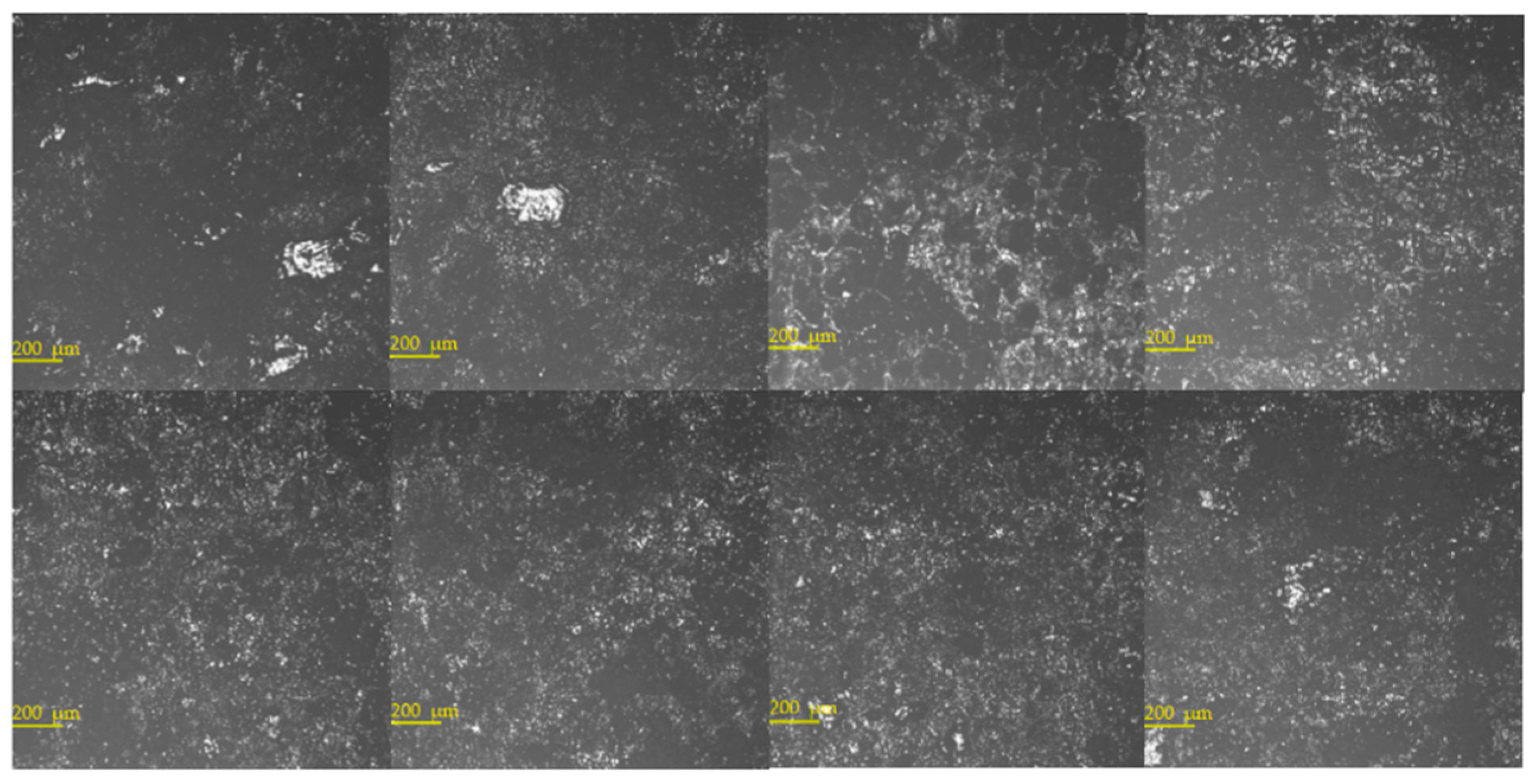 Photonics 09 00510 g008 550
