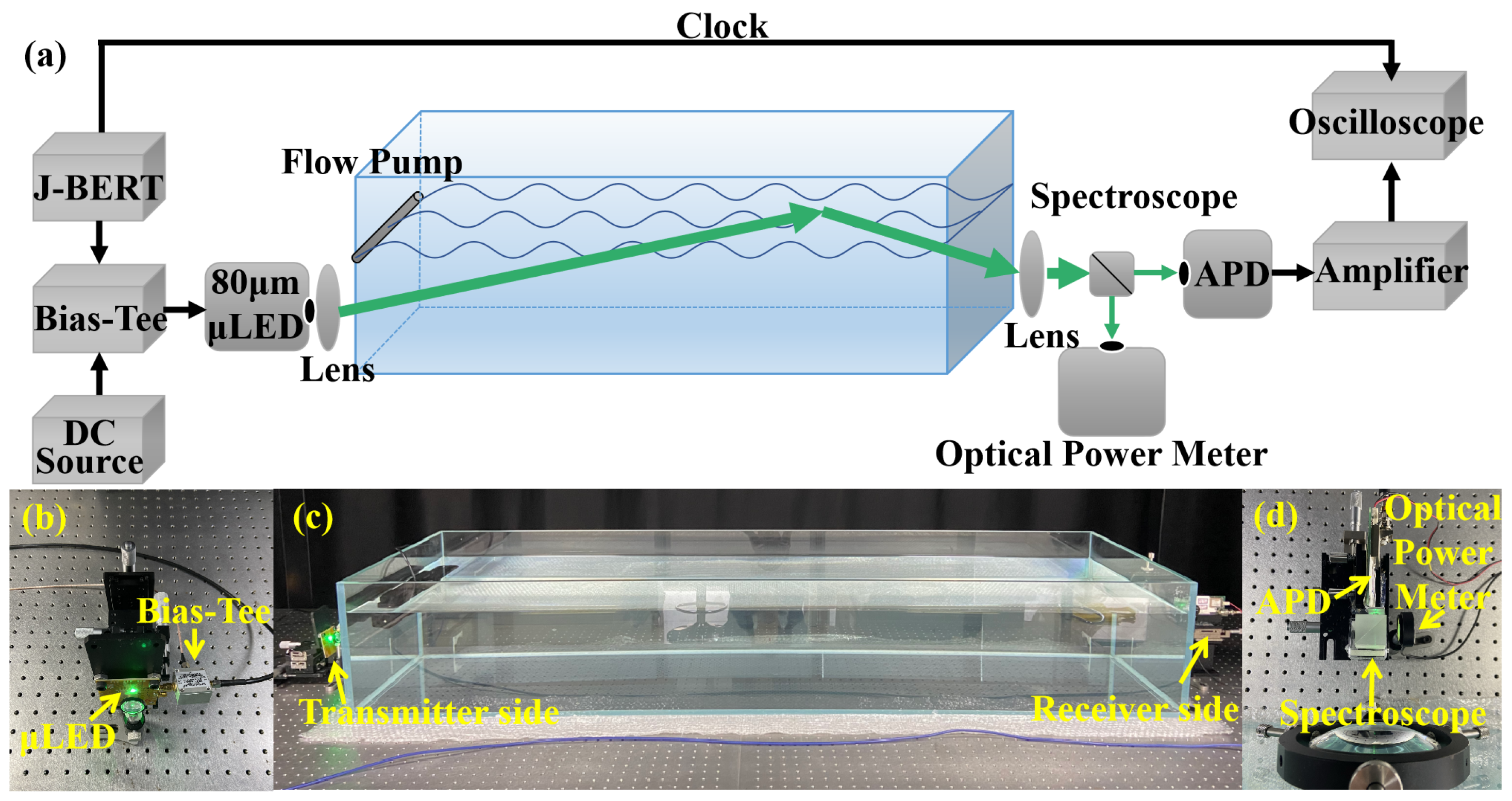 Photonics 09 00525 g004