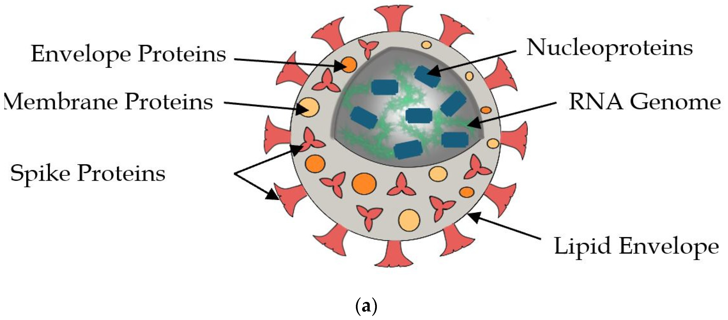 Photonics 09 00542 g001a