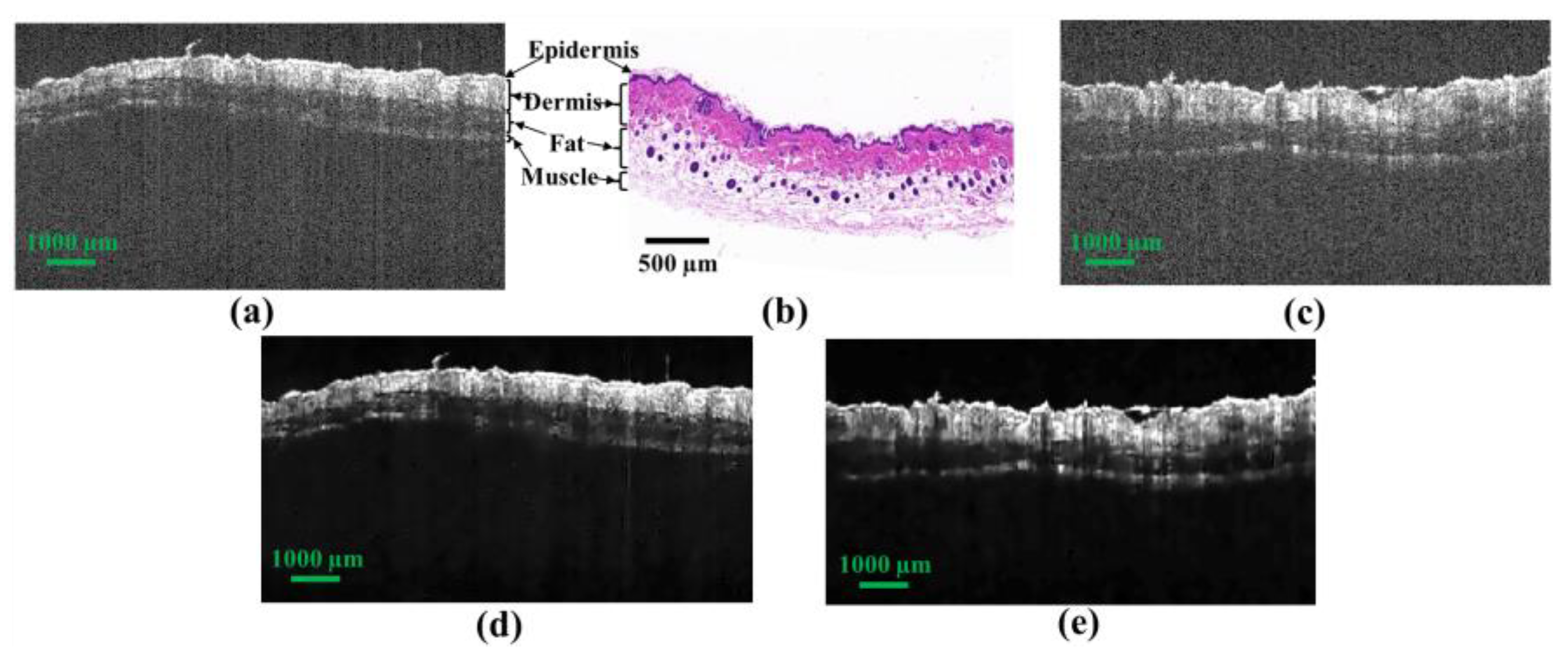 Photonics 09 00543 g001 550