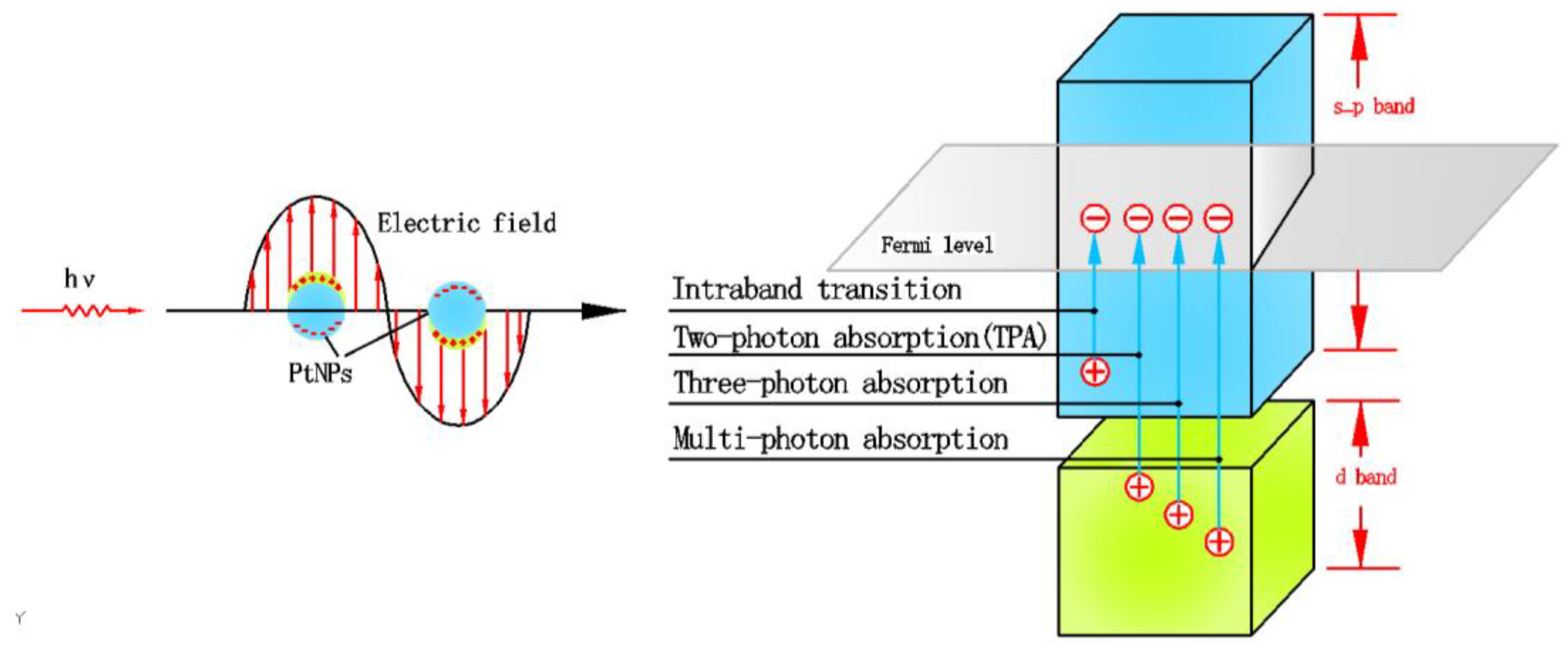 Photonics 09 00545 g005 550