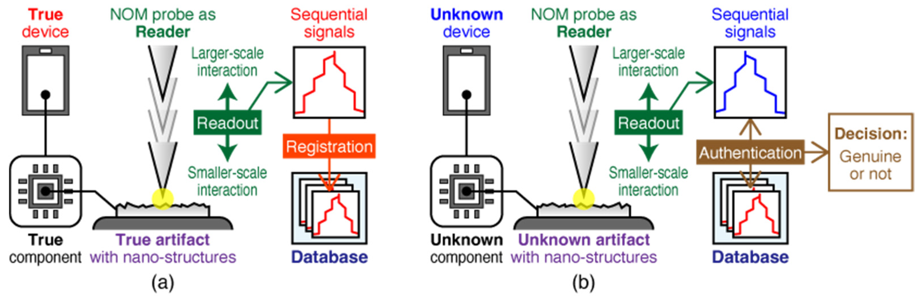 Photonics 09 00551 g001