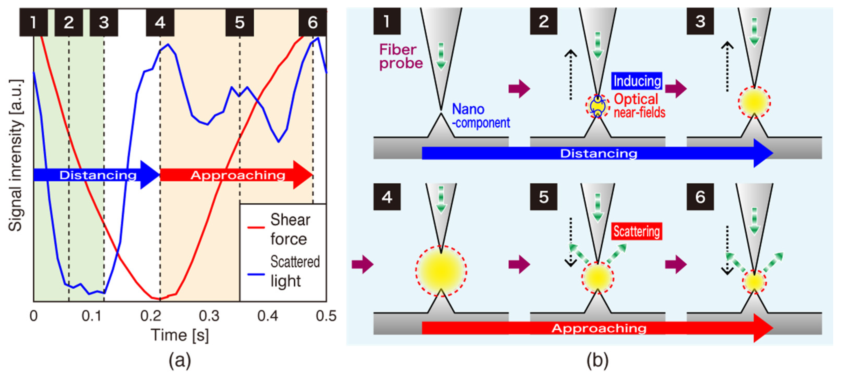 Photonics 09 00551 g005
