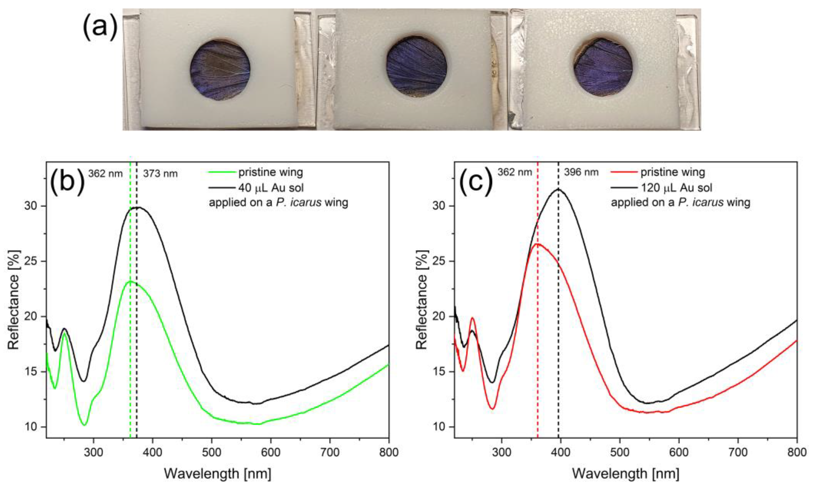 Photonics 09 00553 g004 550