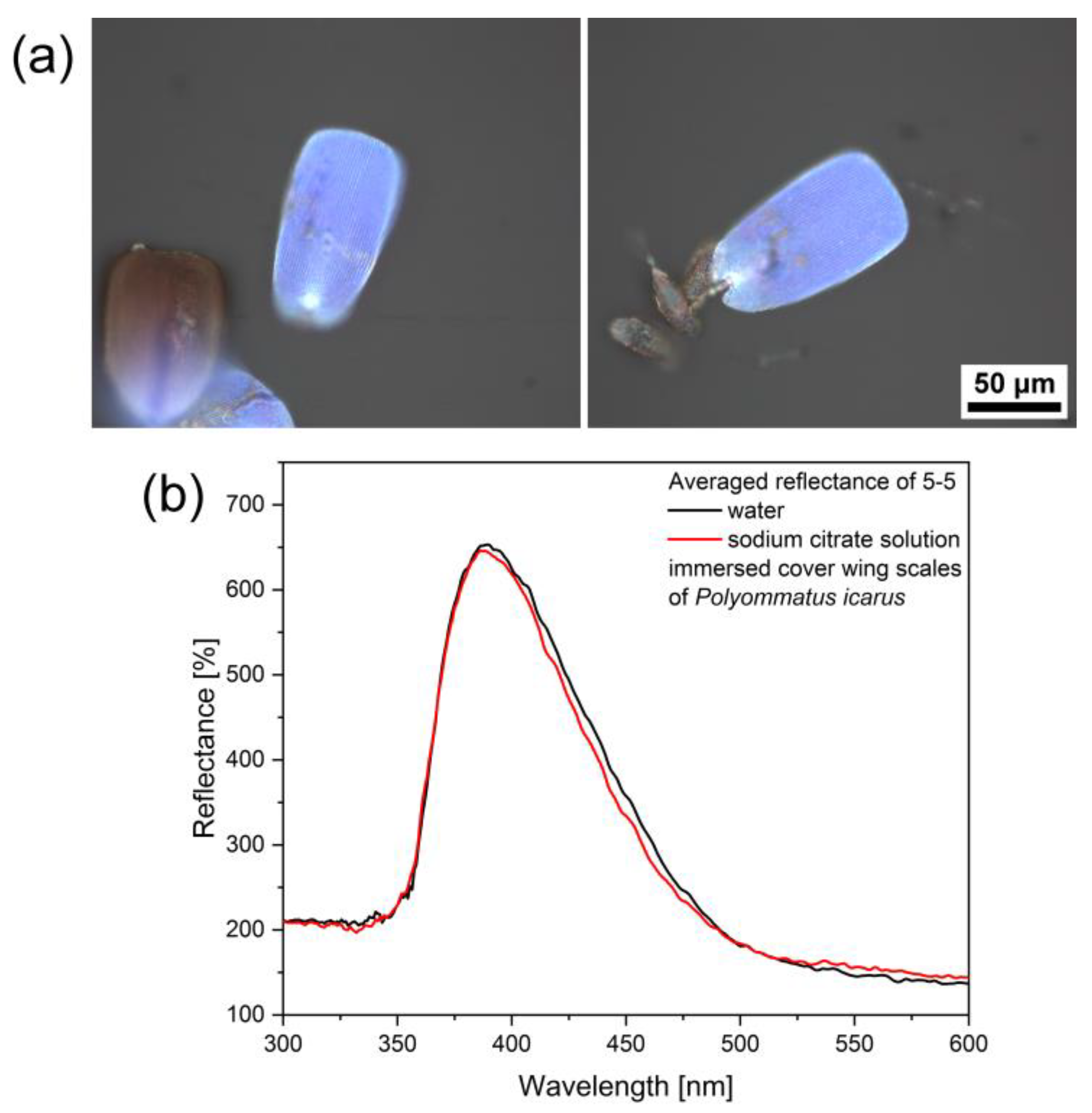 Photonics 09 00553 g008 550