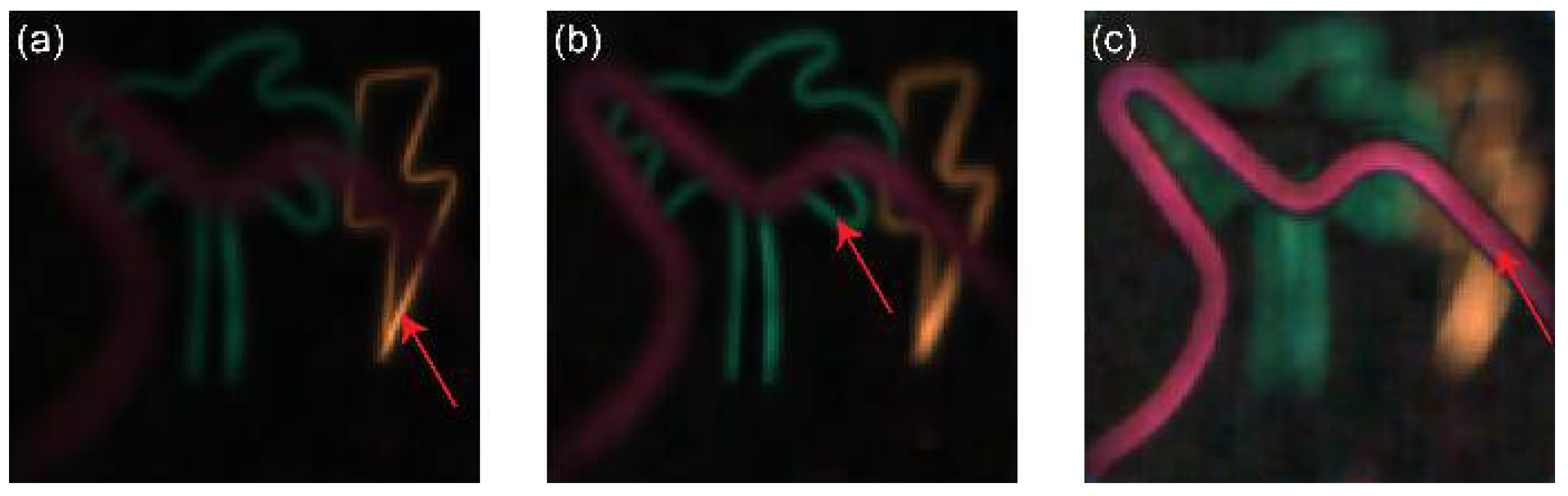 Photonics 09 00559 g009 550