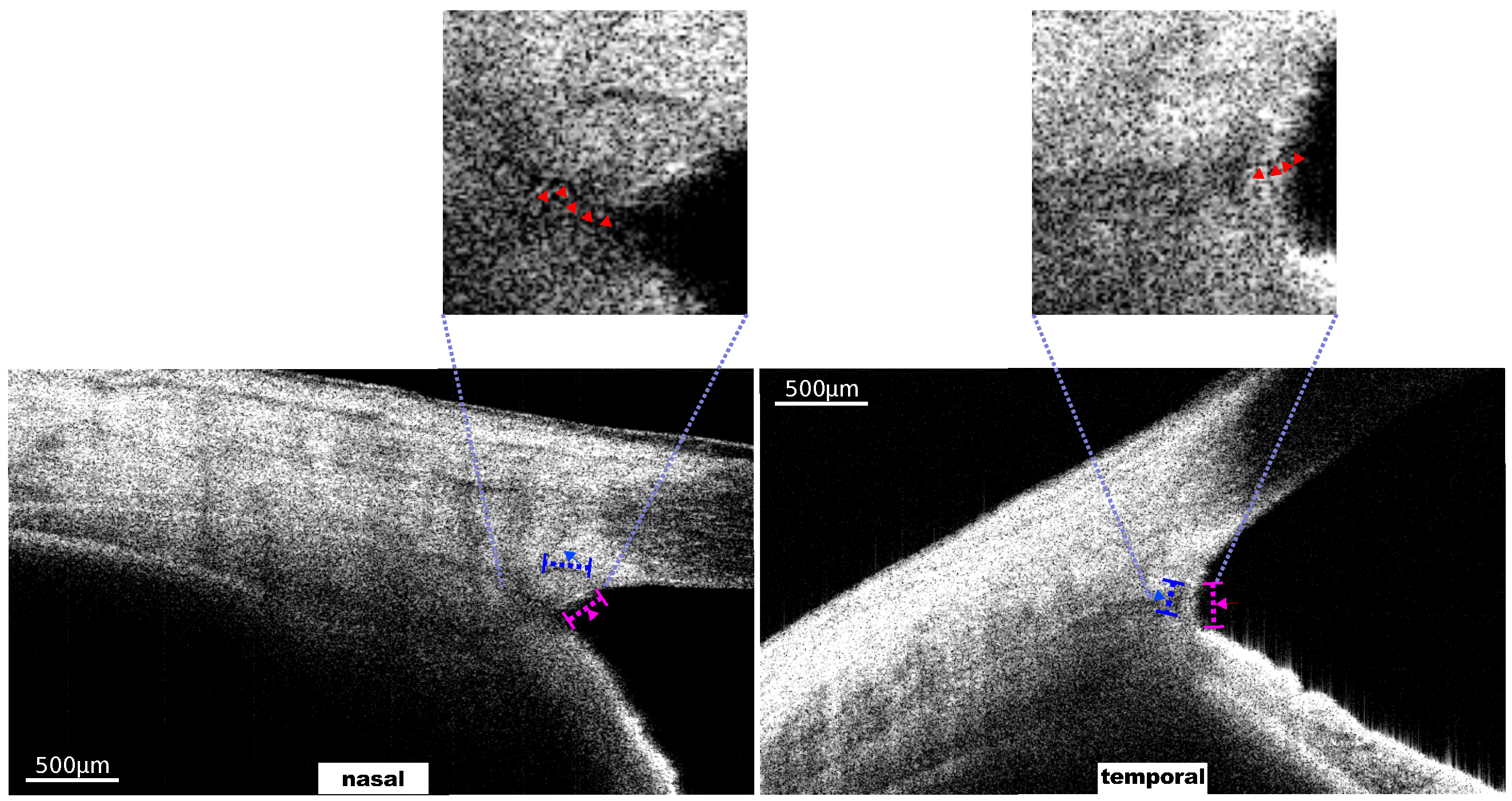 Photonics 09 00593 g006 Photonics 09 00593 g006
