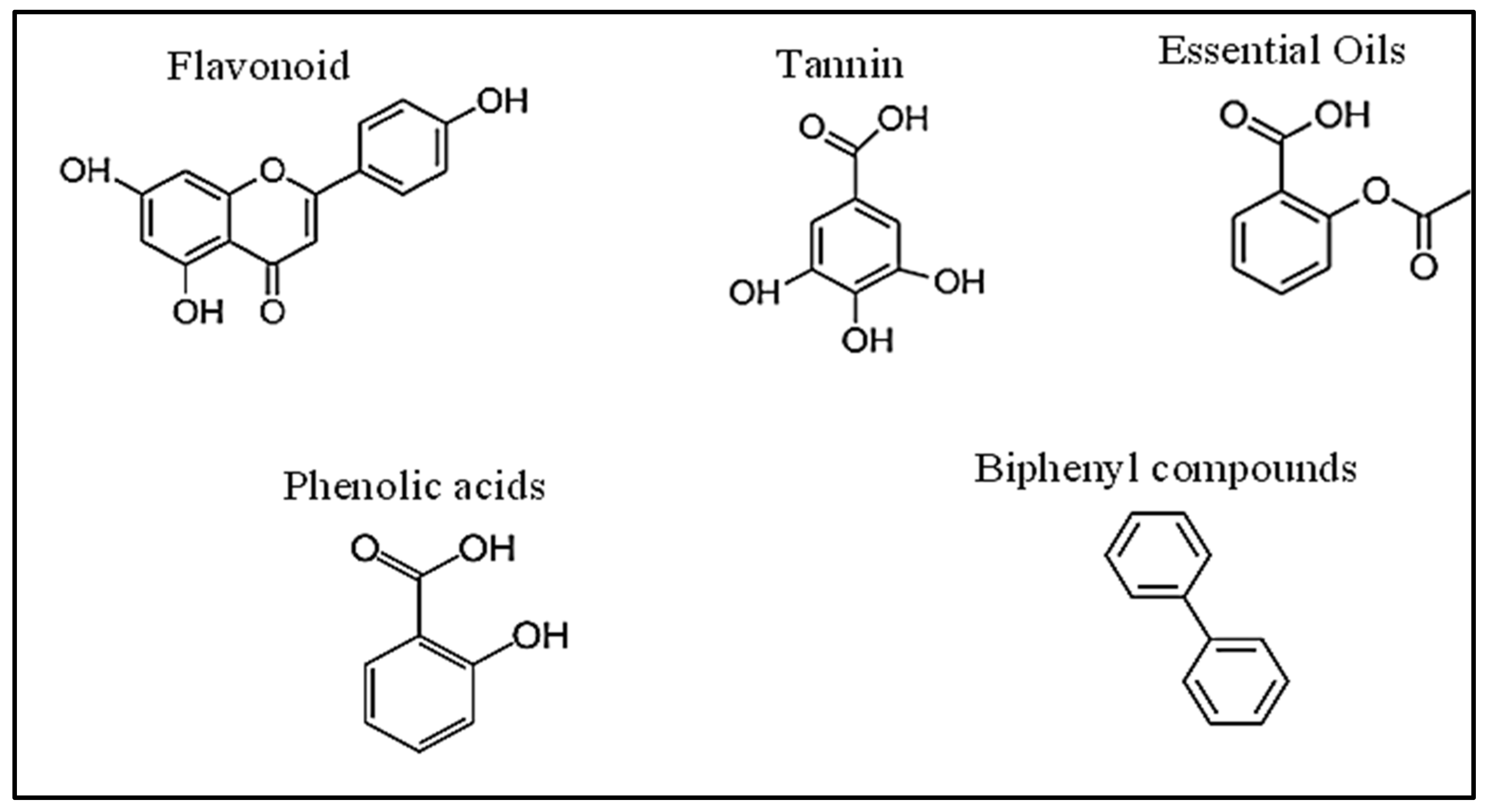 Photonics 09 00594 g002