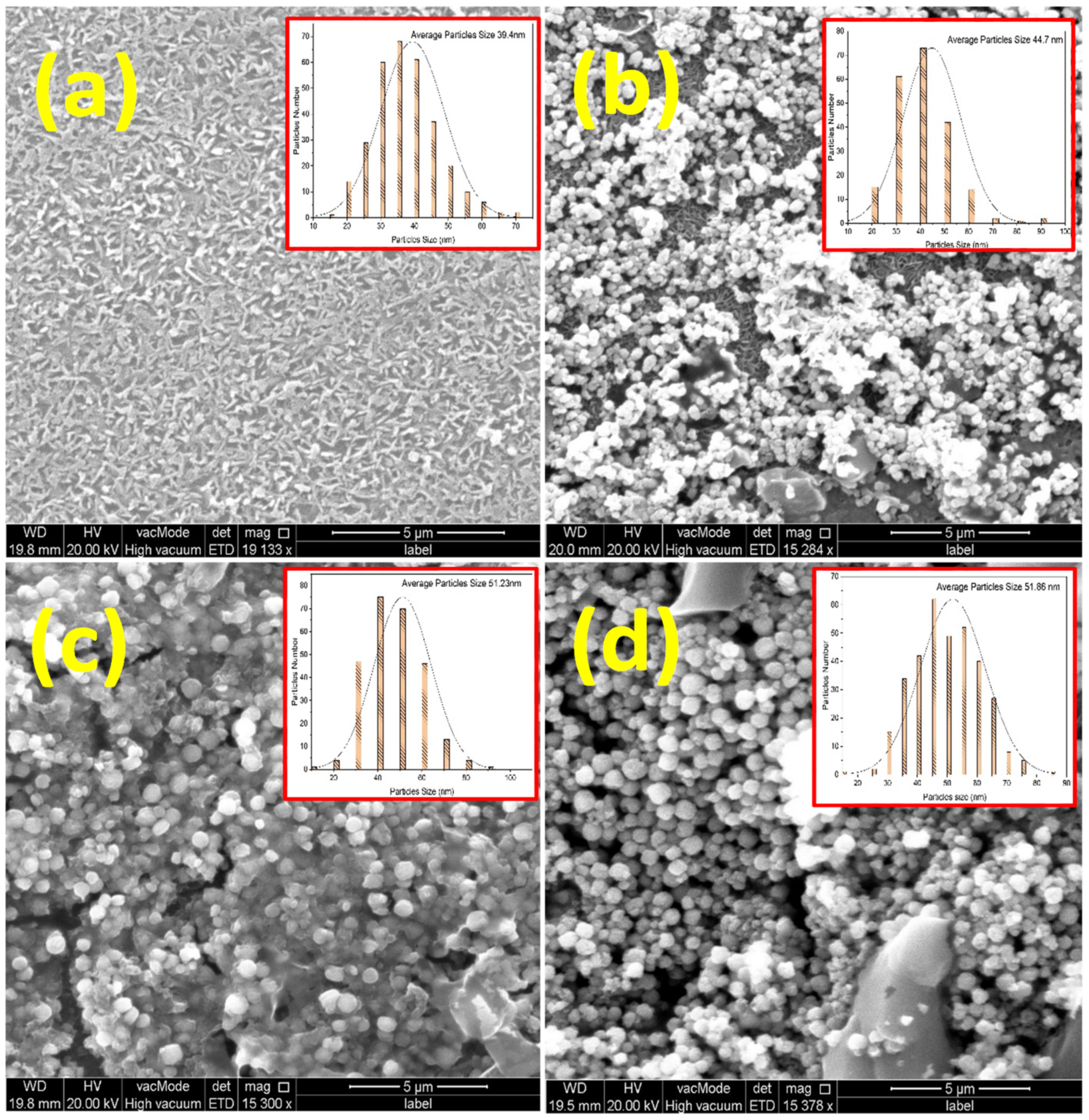 Photonics 09 00594 g005