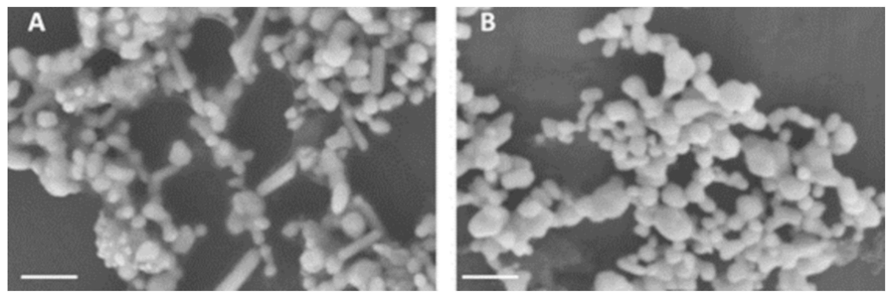Photonics 09 00648 g0a2 550
