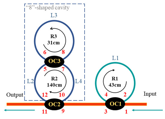 Modulation of Multispecific Transporters by Uncaria