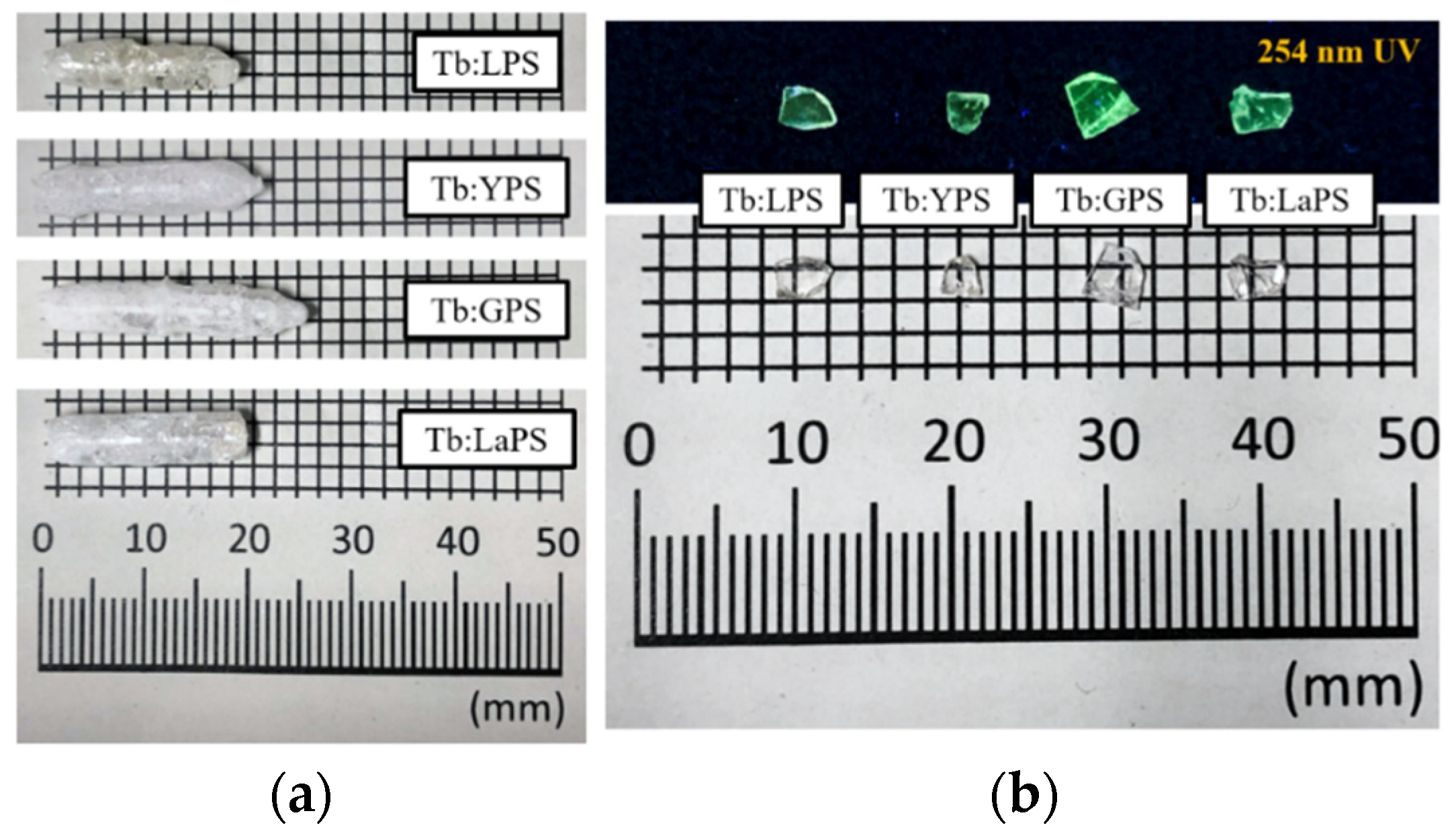 Photonics 09 00765 g001