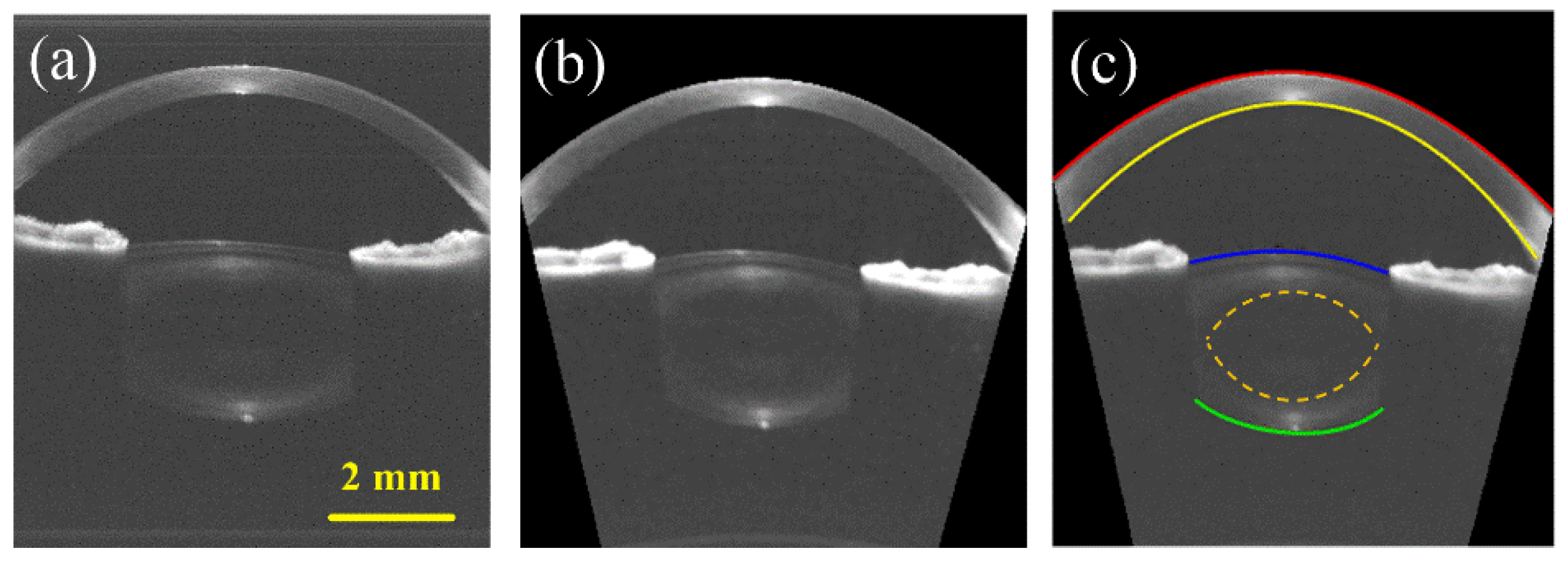 Photonics 09 00803 g002