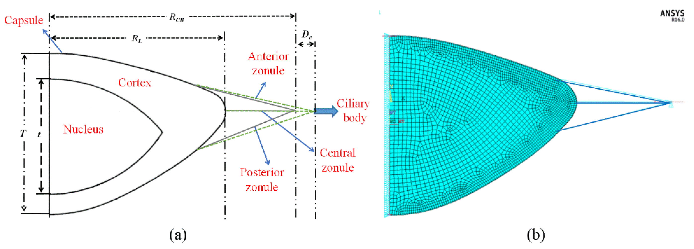 Photonics 09 00803 g003