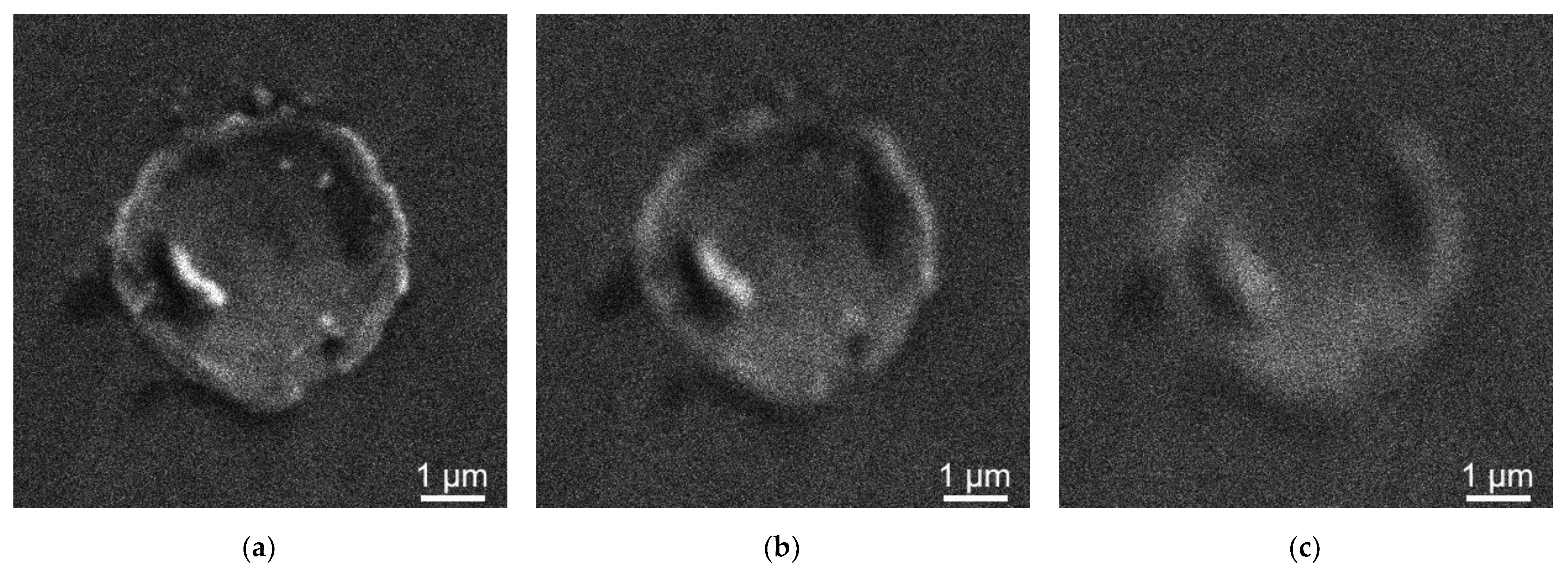 Photonics 09 00815 g002