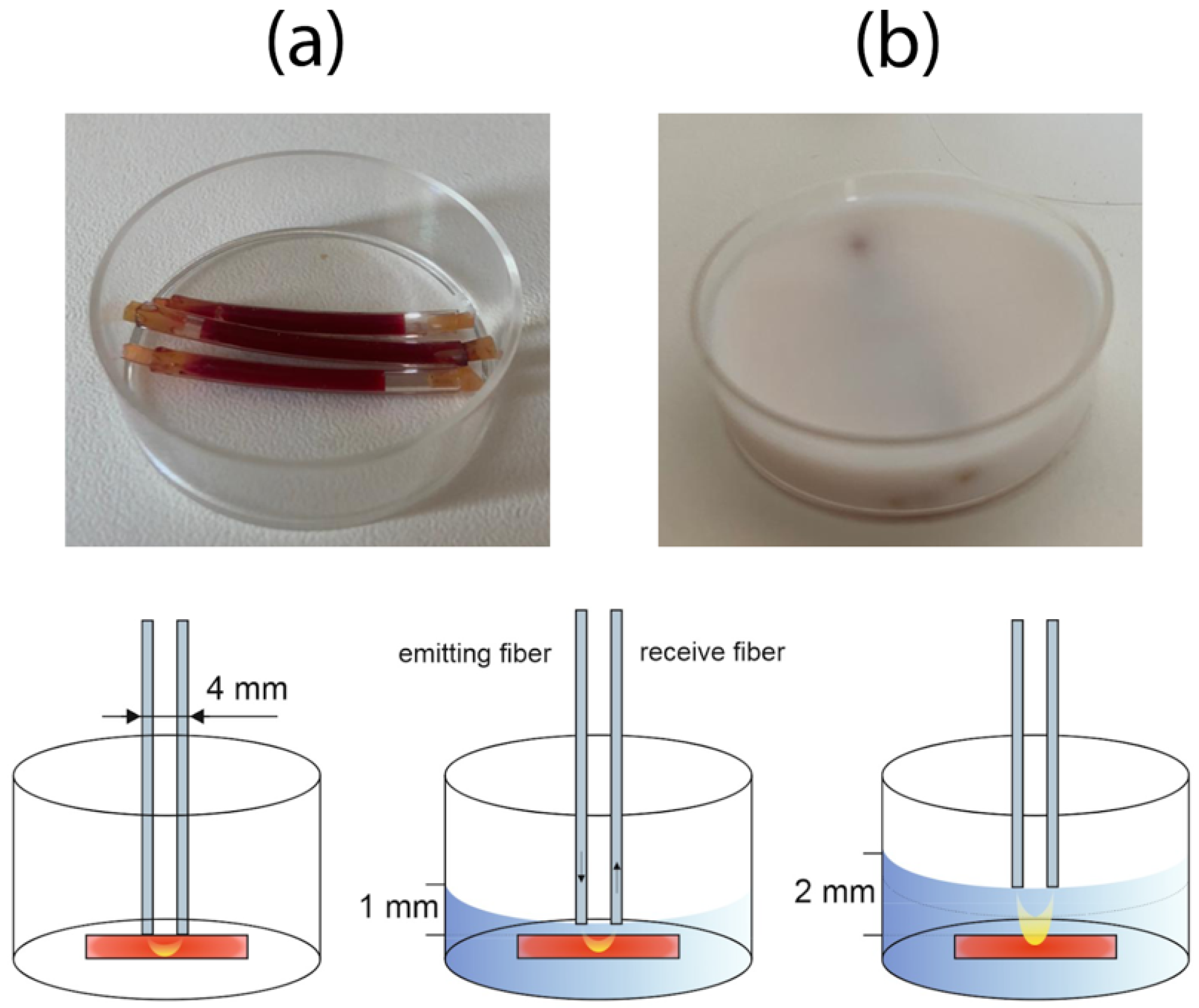 Photonics 09 00821 g002