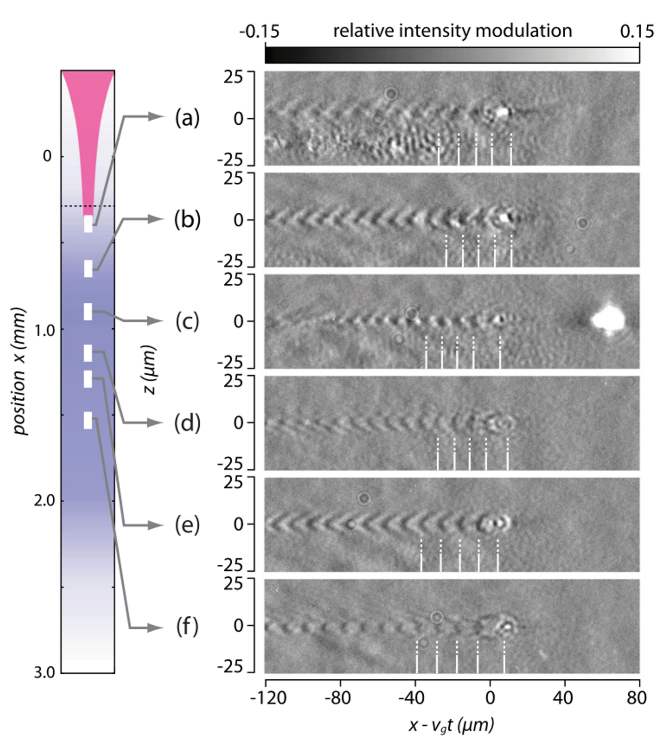 Photonics 09 00862 g006