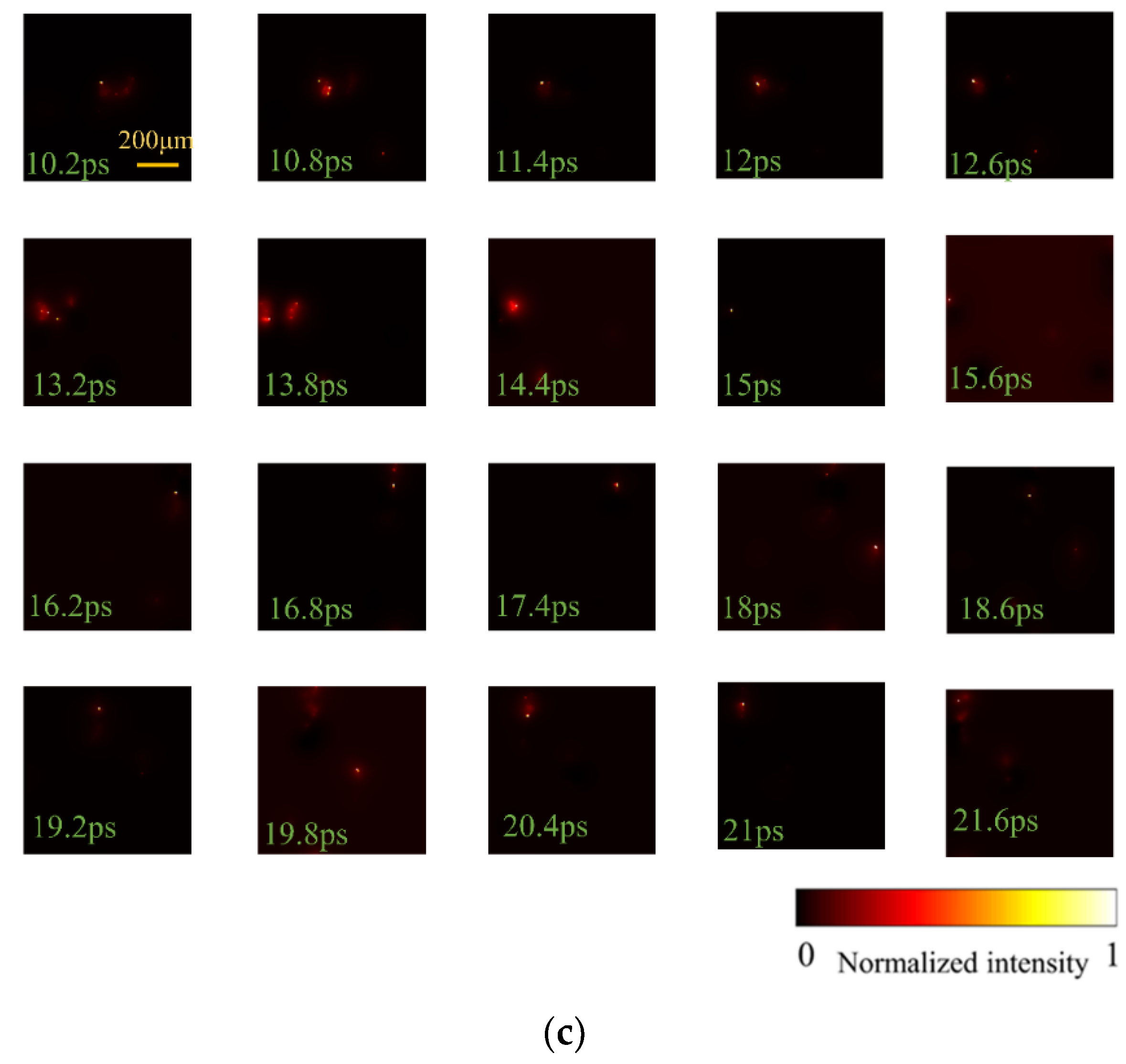 Photonics 09 00903 g004b Photonics 09 00903 g004b