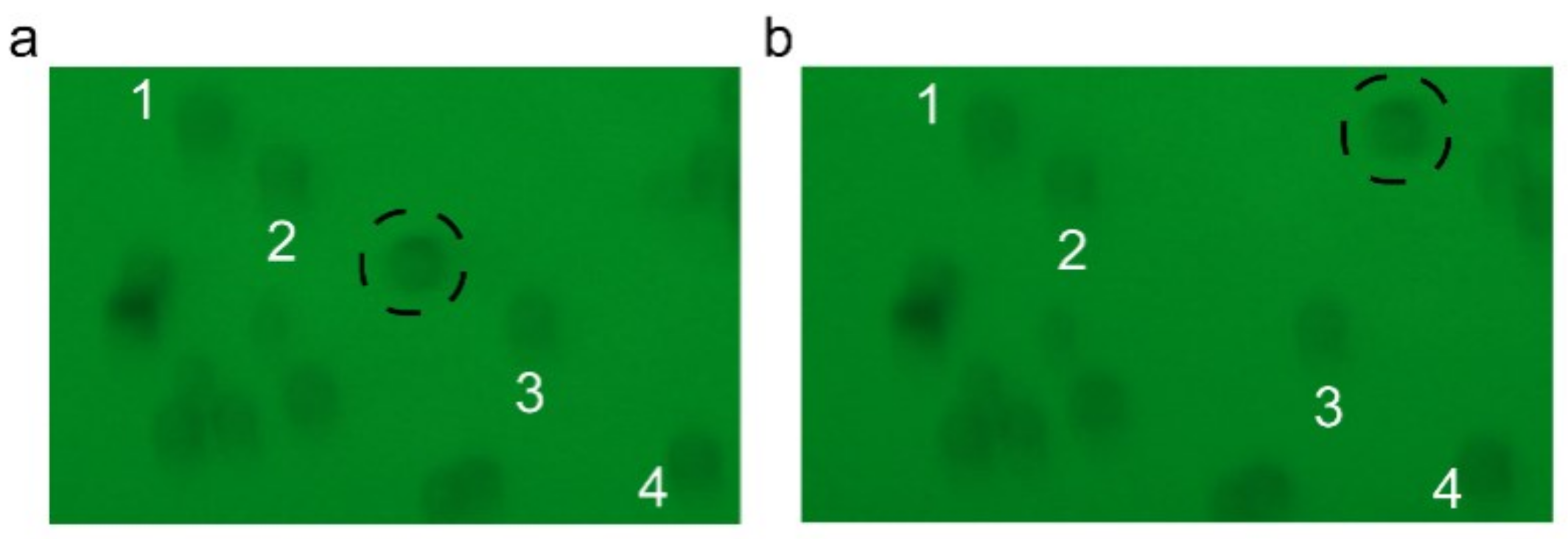 Photonics 09 00911 g012