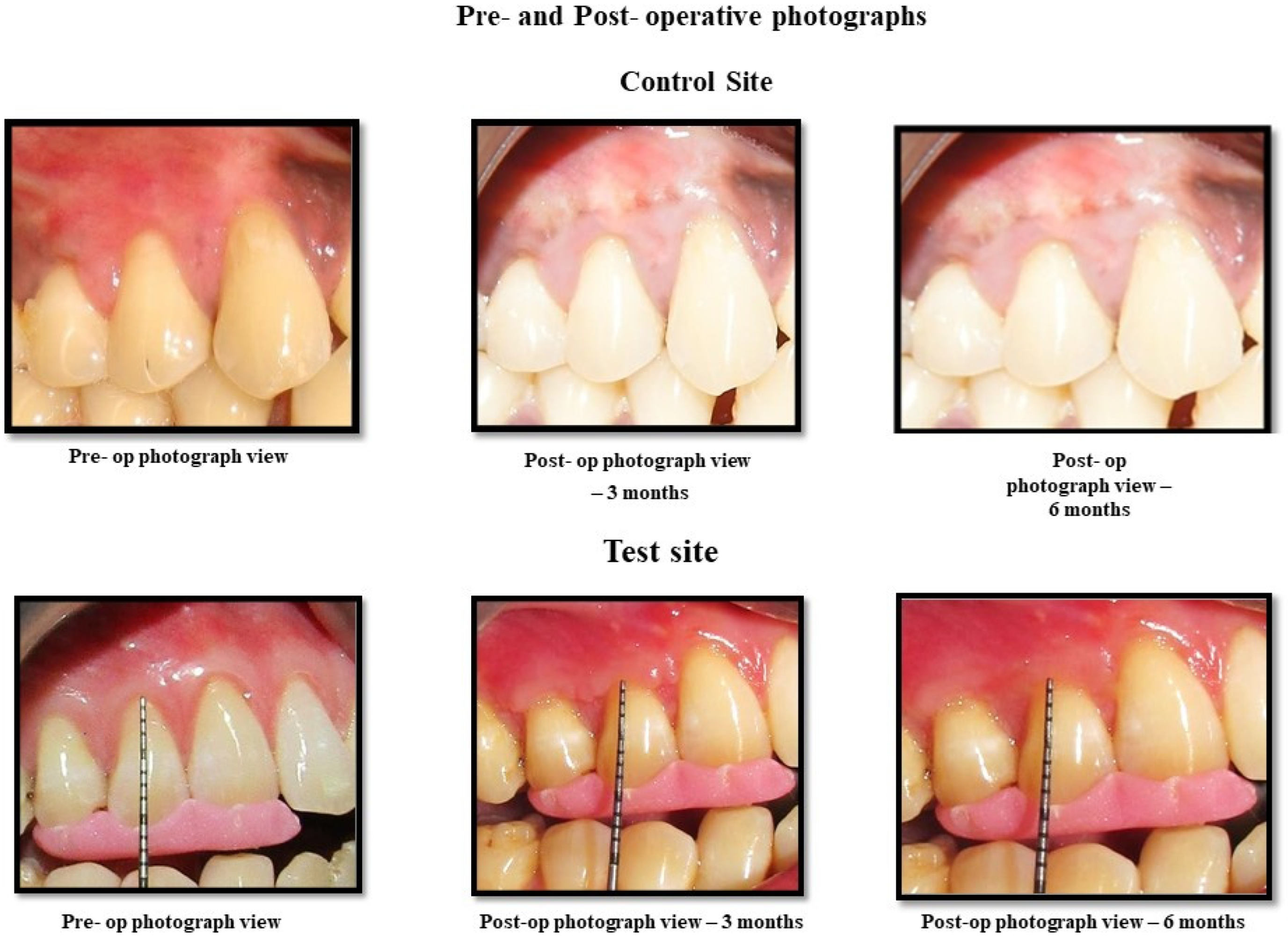 Photonics 09 00932 g002