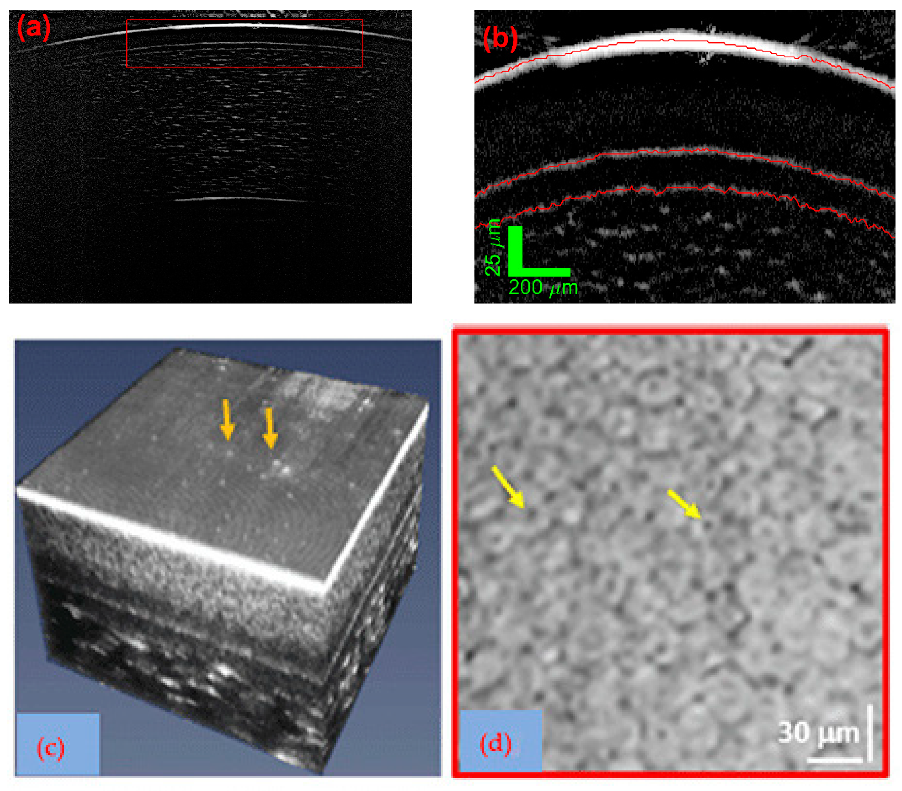 Photonics 09 00946 g004 Photonics 09 00946 g004