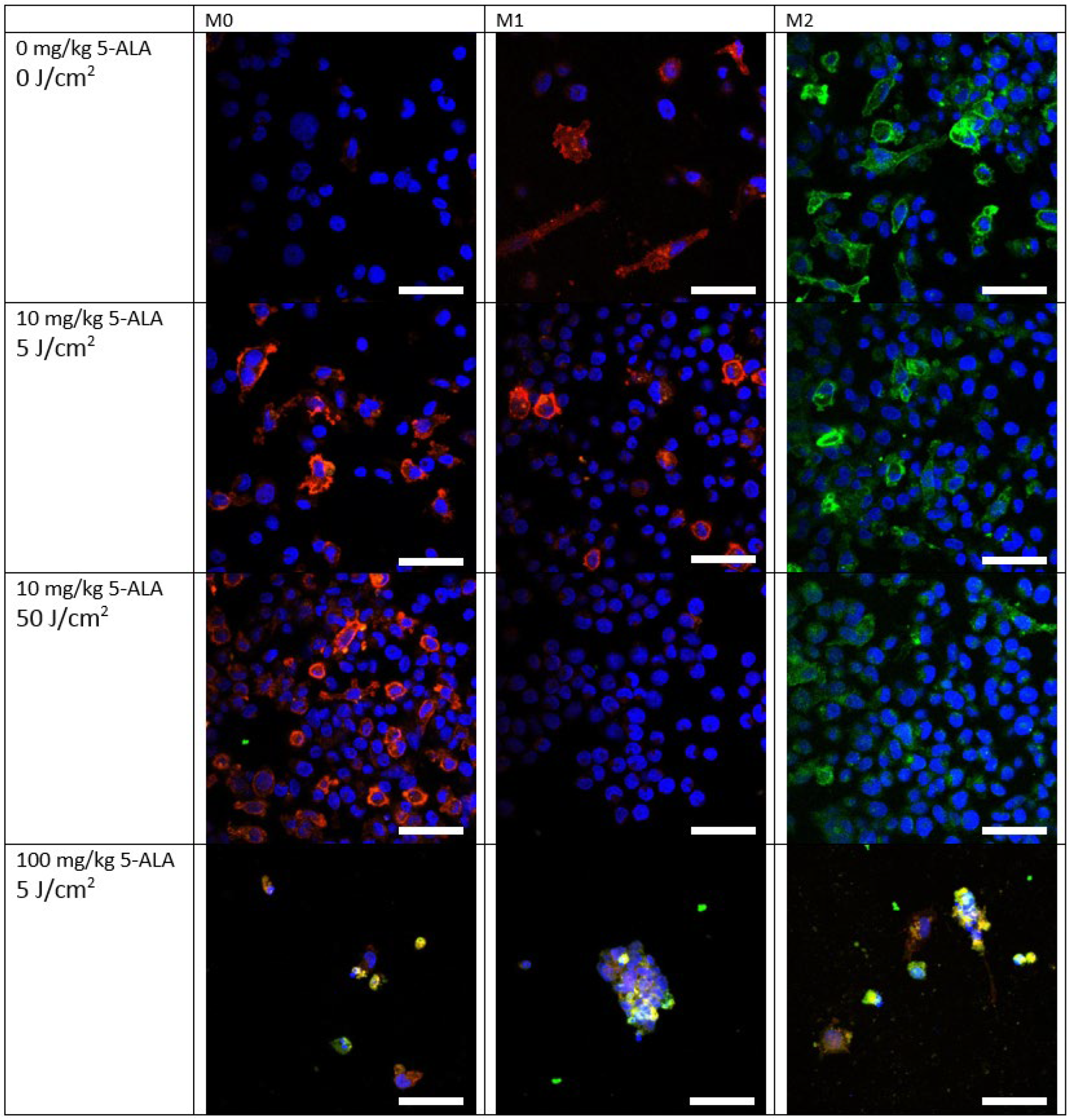 Photonics 09 00961 g003 Photonics 09 00961 g003